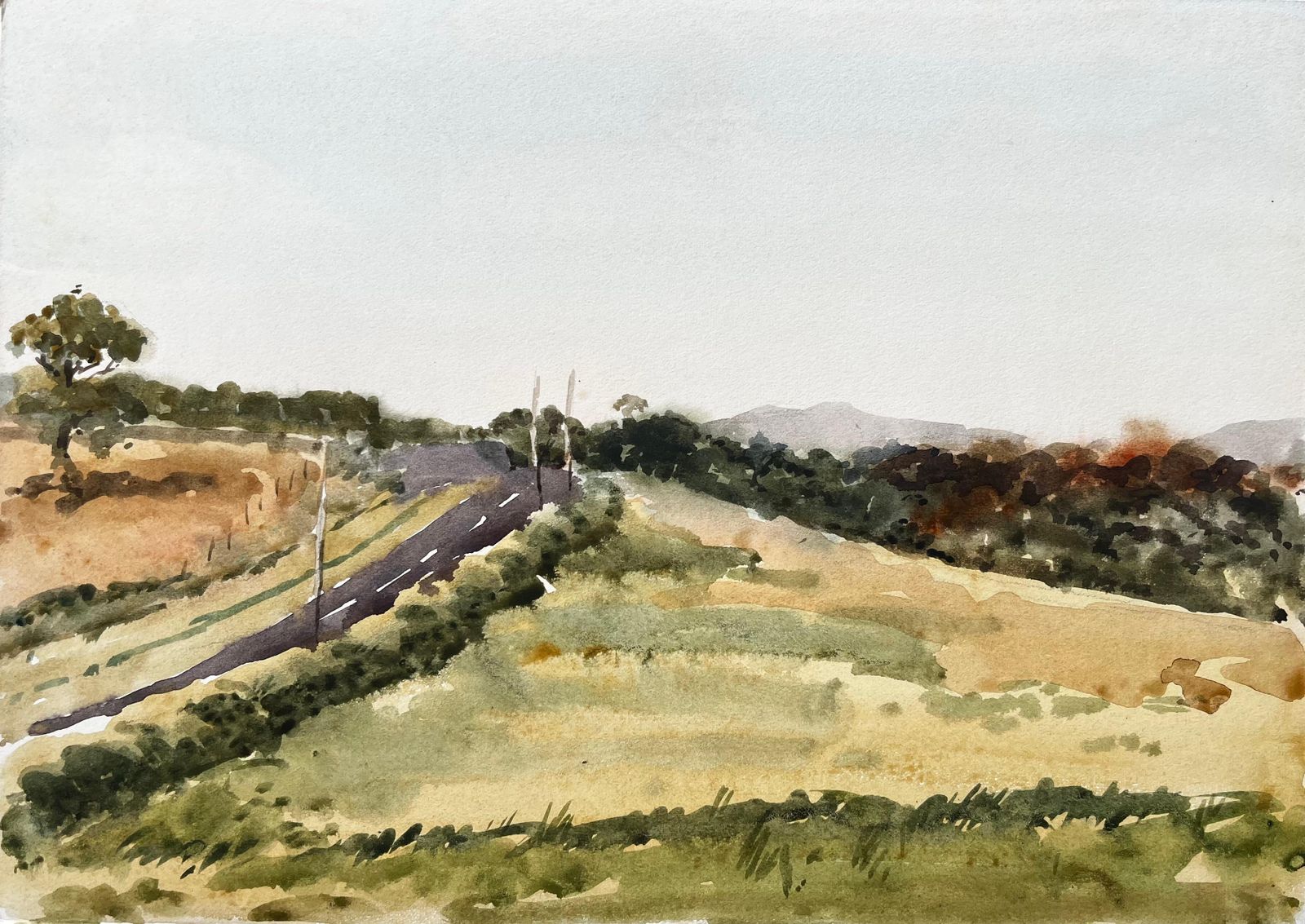 Anthony Herbertwelsh Road And Hillside Summer Landscape North Wales 1976 Watercolour1976