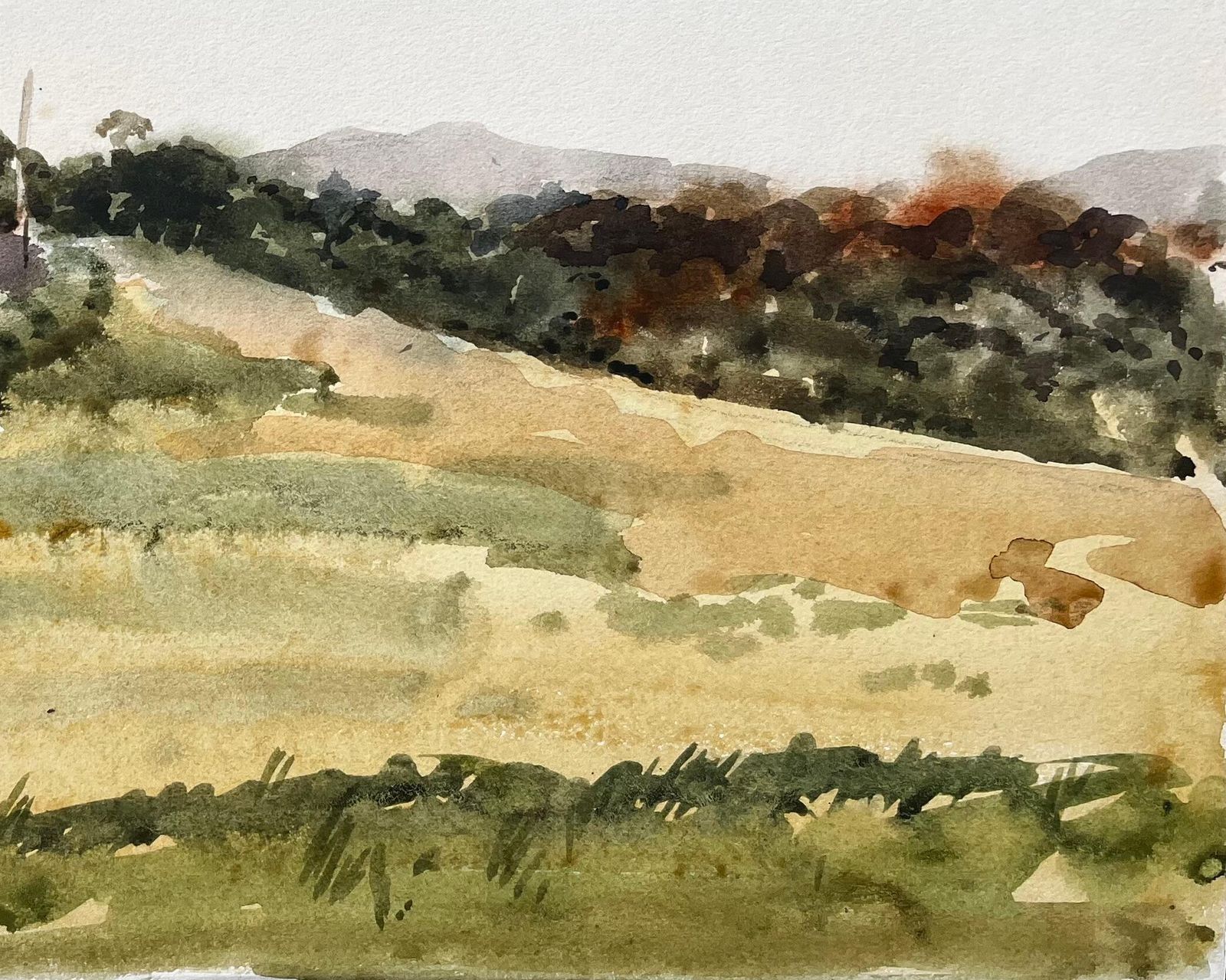 Anthony Herbertwelsh Road And Hillside Summer Landscape North Wales 1976 Watercolour1976 photo 377.0