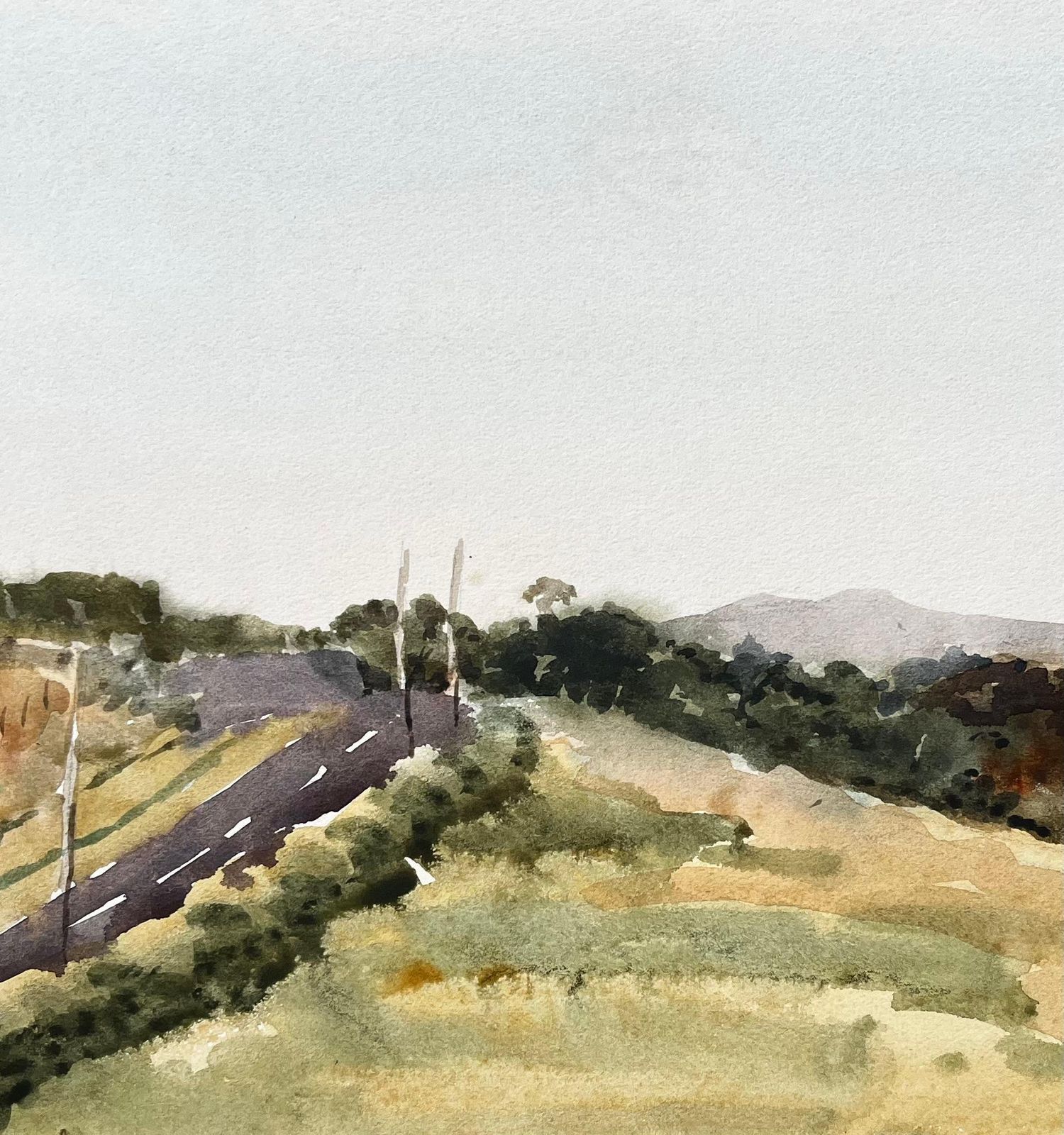 Anthony Herbertwelsh Road And Hillside Summer Landscape North Wales 1976 Watercolour1976 photo buy
