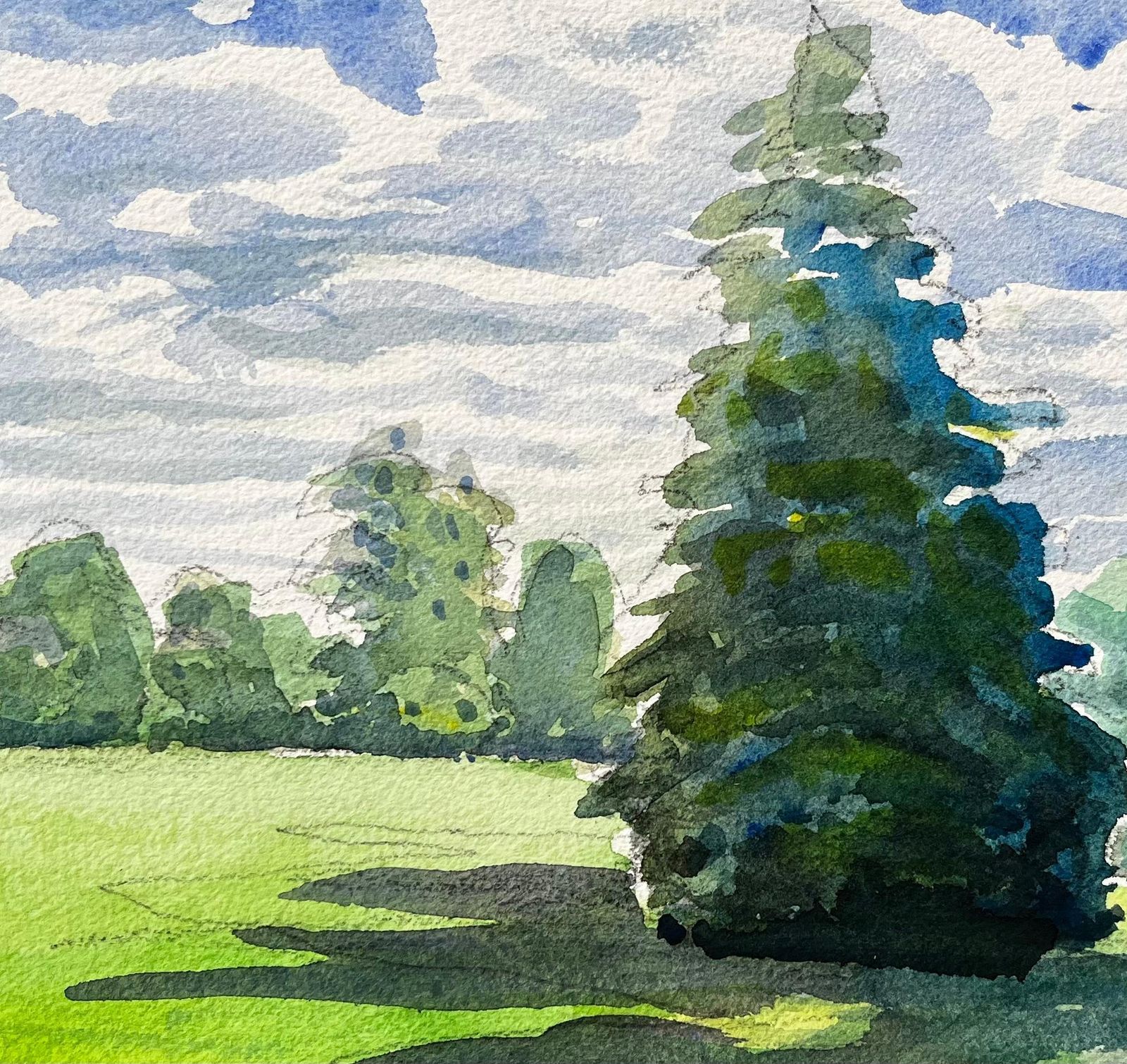 John Steane (B.1931)university Parks Oxford Landscape With Pine Tree And Summer Shadows photo buy
