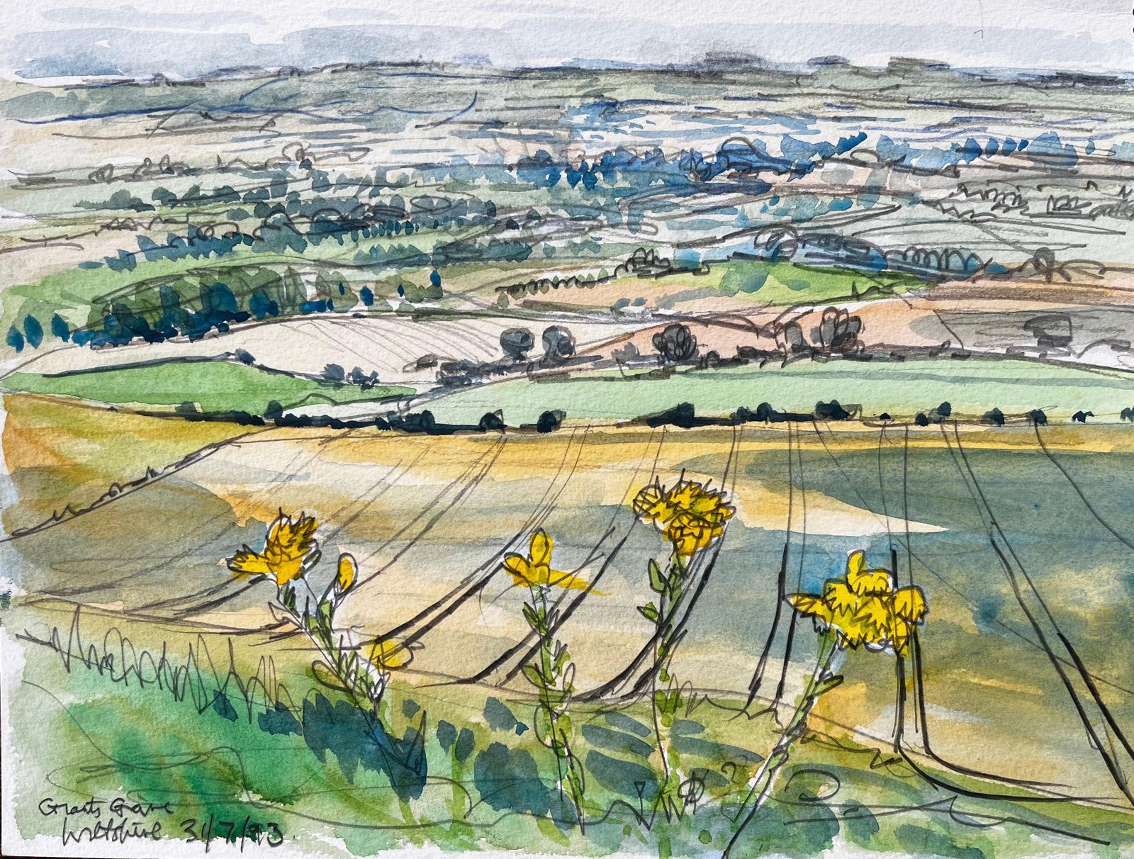John Steane (B.1931)great Givendale Yorkshire Landscape View With Wildflowers British Watercolor1993