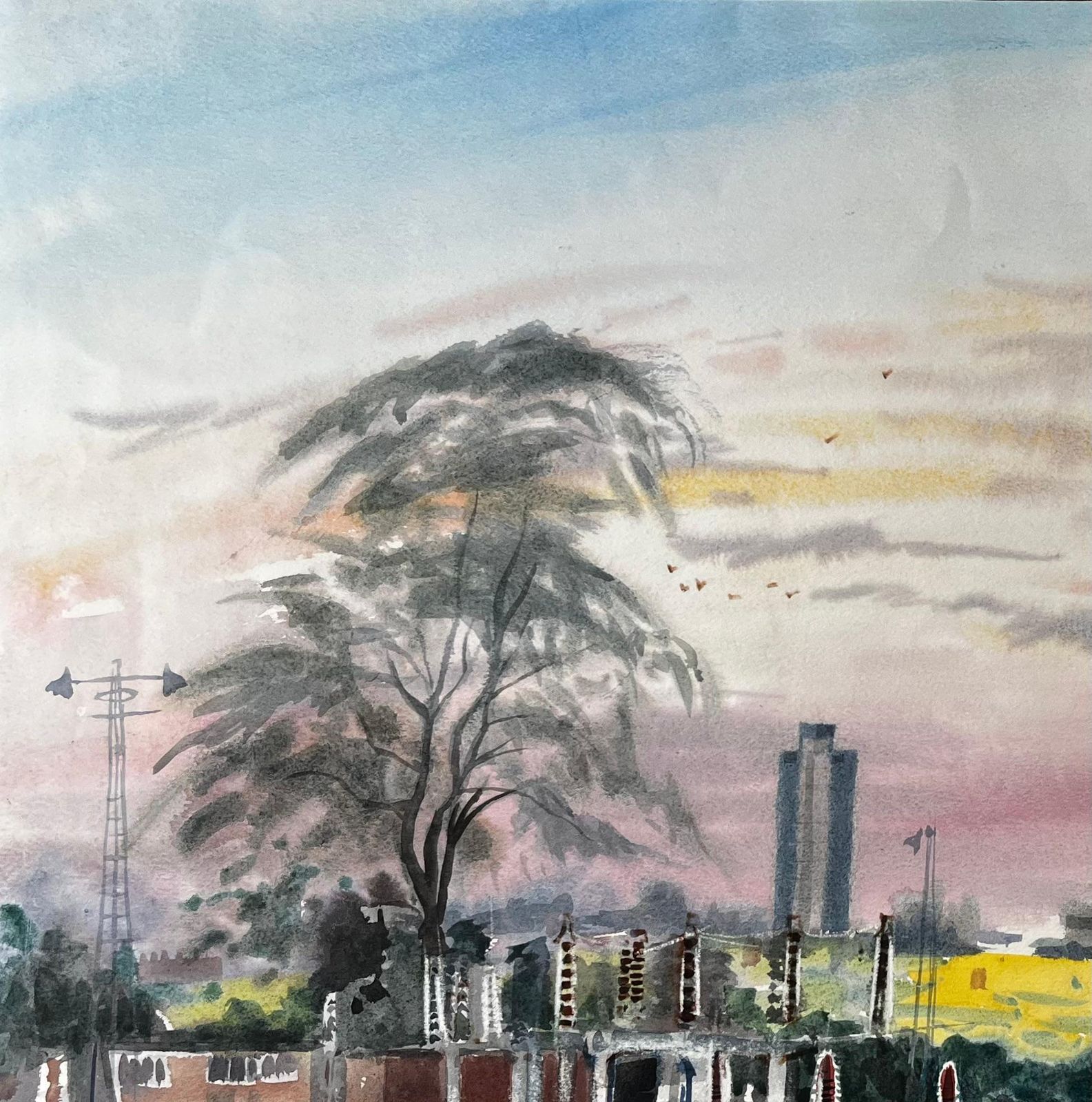 John Steane (B.1931)sunset Over Suburban London With Tree Skyline And Yellow Fields 1996 Watercolour1996 photo buy