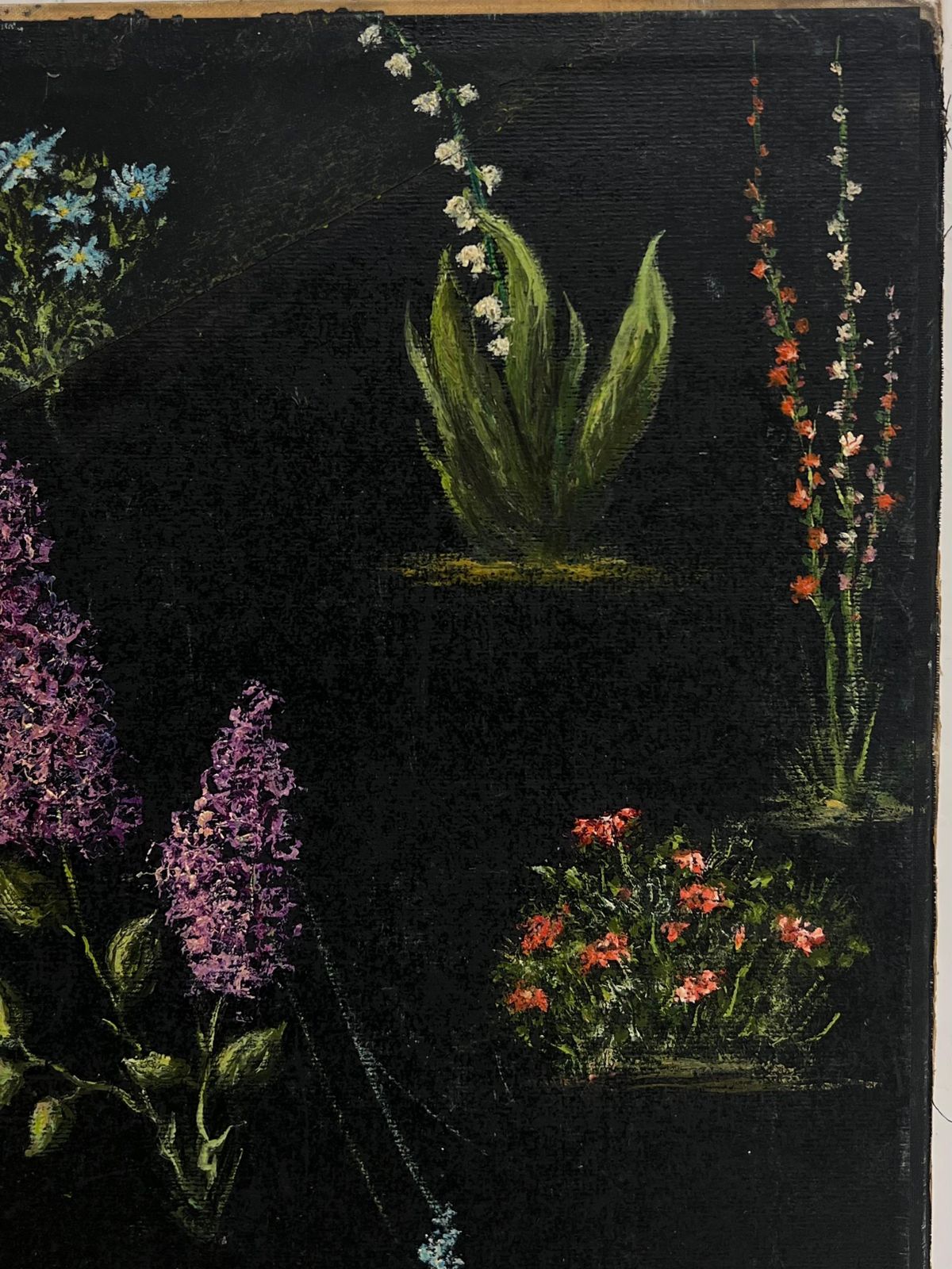 Jean Fouriestudy Of Garden Flowers On Black Back Ground Oil Painting photo Art