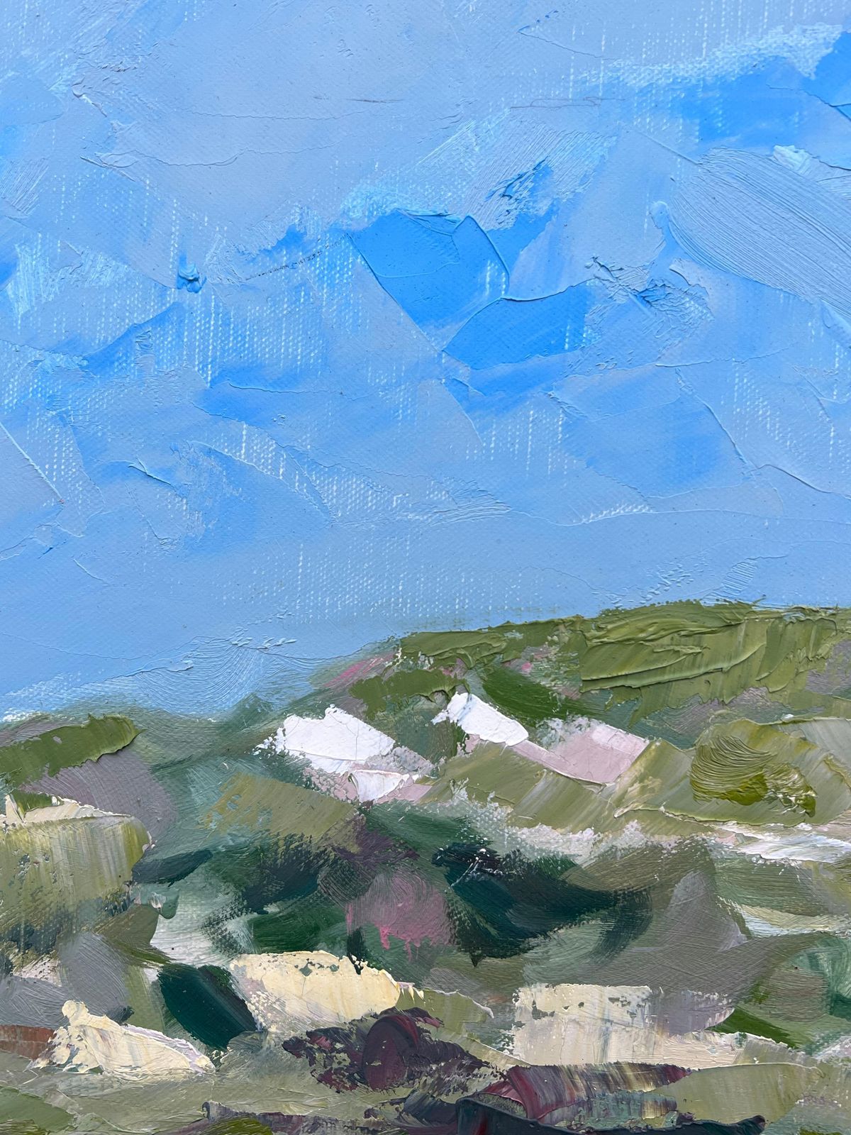 Spanish Artistcontemporary Spanish Oil Vibrant Fields Under Vast Sky Impressionist Landscape1996 photo Art