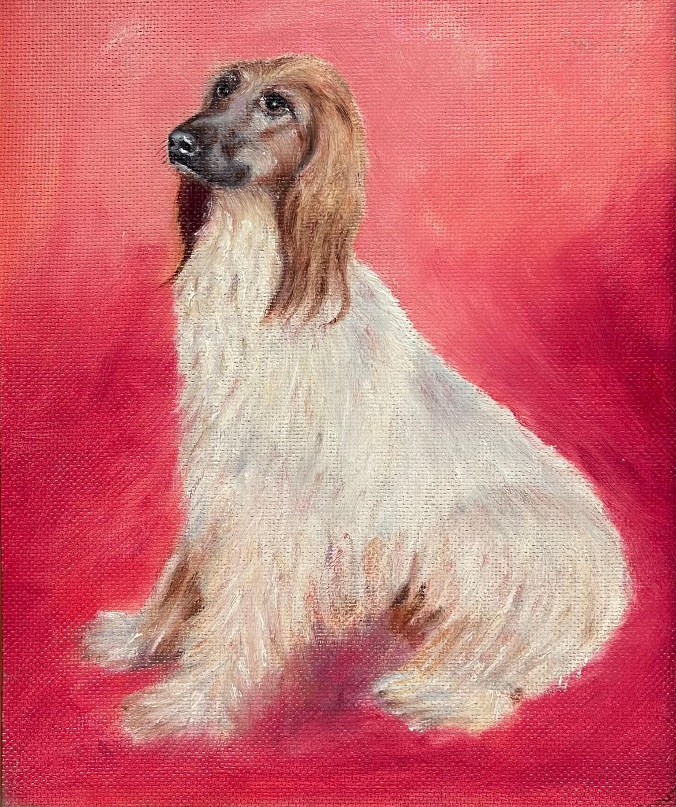 English Artistafghan Hound Long Haired Vintage Original English Dog Oil Painting Pink Back