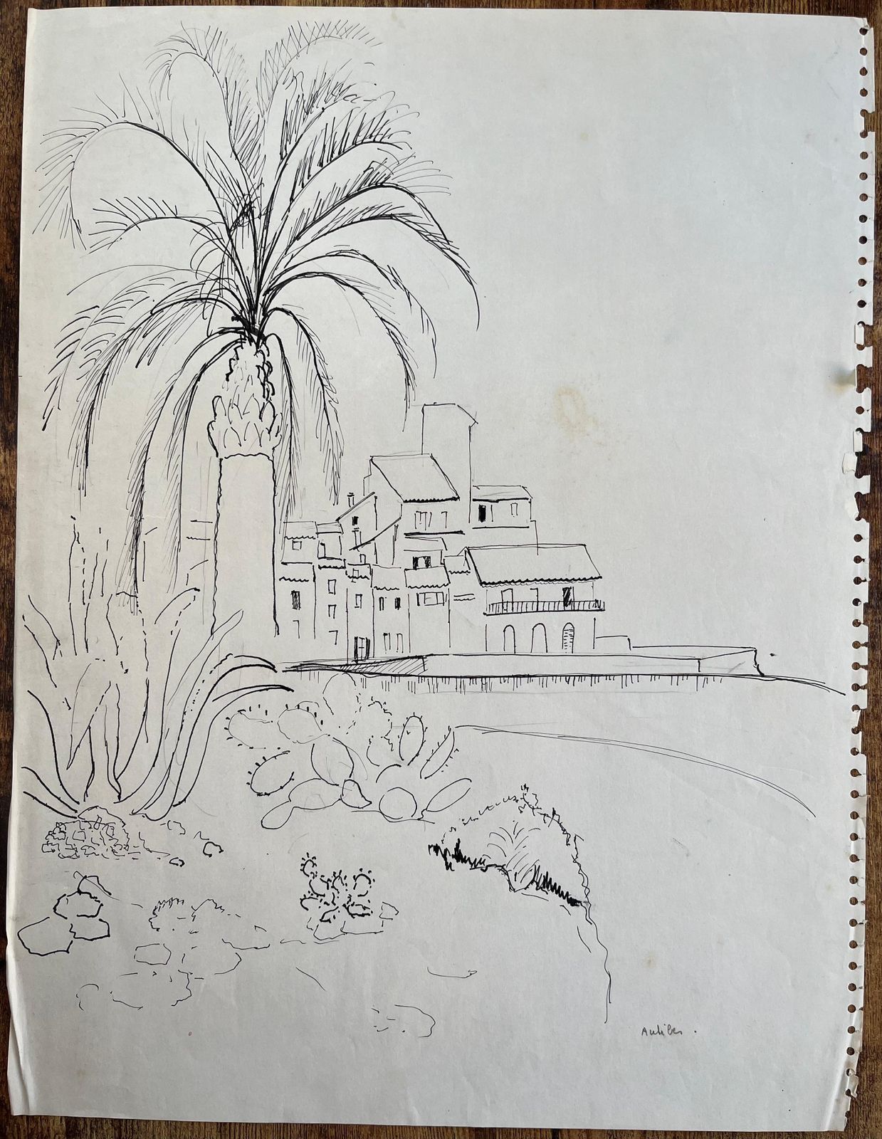 Anne Marie Migette Perardmid 20th Century Post Impressionist Drawing Of Antibes With Palm Tree And Cacti photo furniture