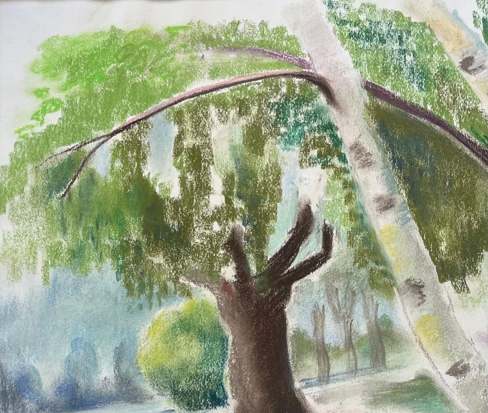 Anne Marie Migette Perardmid Century French Pastel Landscape Of Birch Trees In Summer Light photo for sale