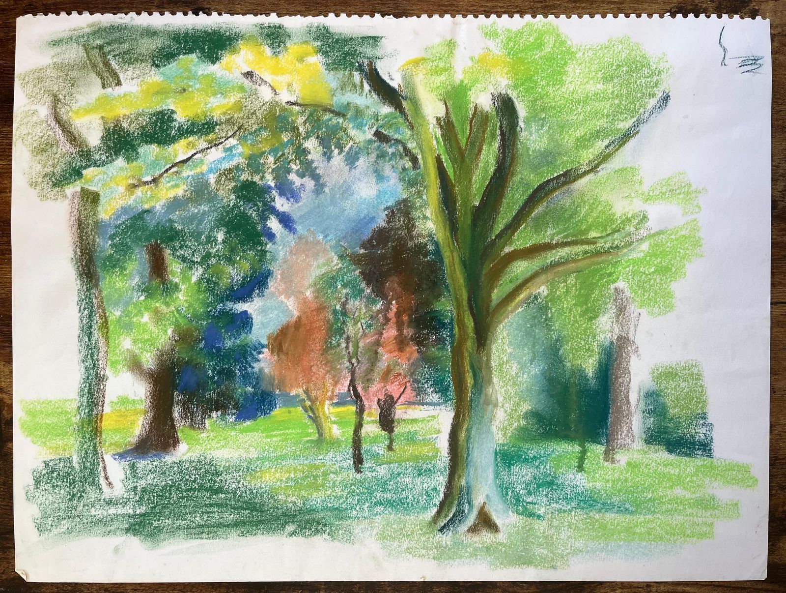 Anne Marie Migette Perardmid 20th Century French Pastel Landscape Of Trees In A Sunlit Public Garden photo furniture