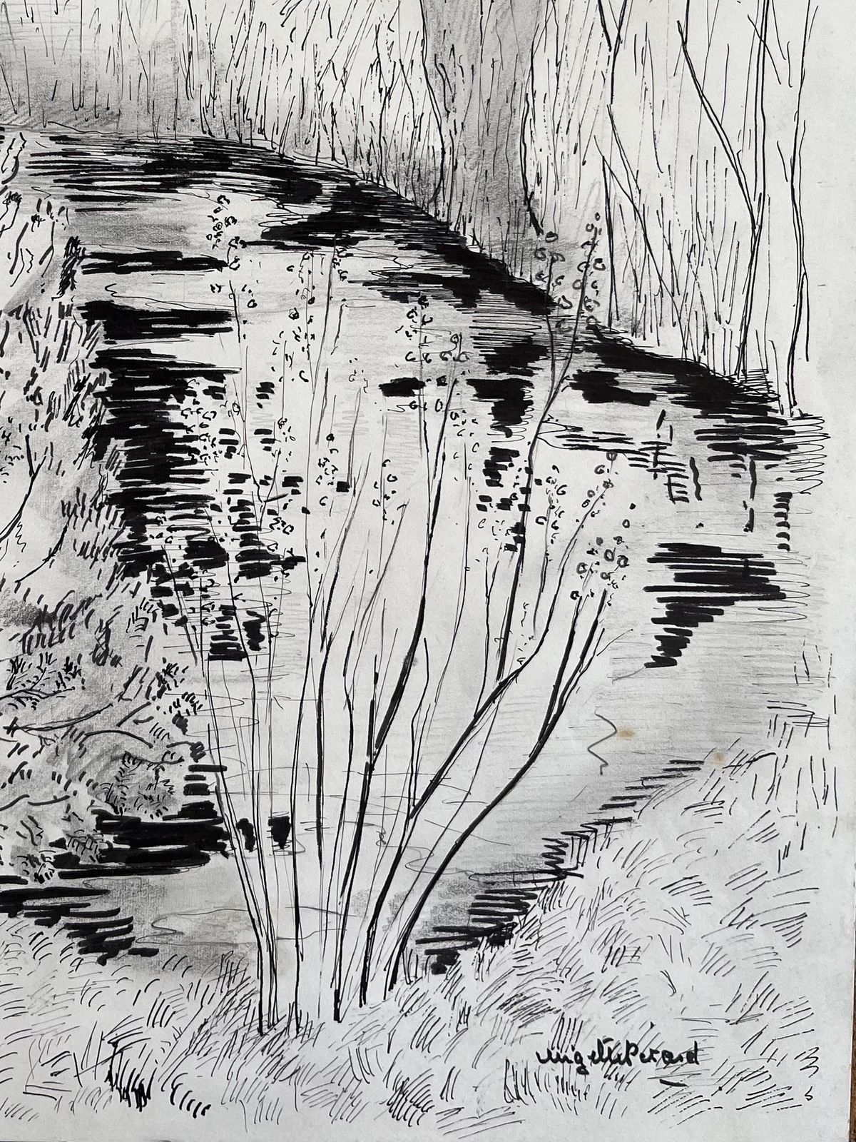 Anne Marie Migette Perardmid 20th Century French Ink Drawing Of Trees And Stream With Cottage photo vinterior