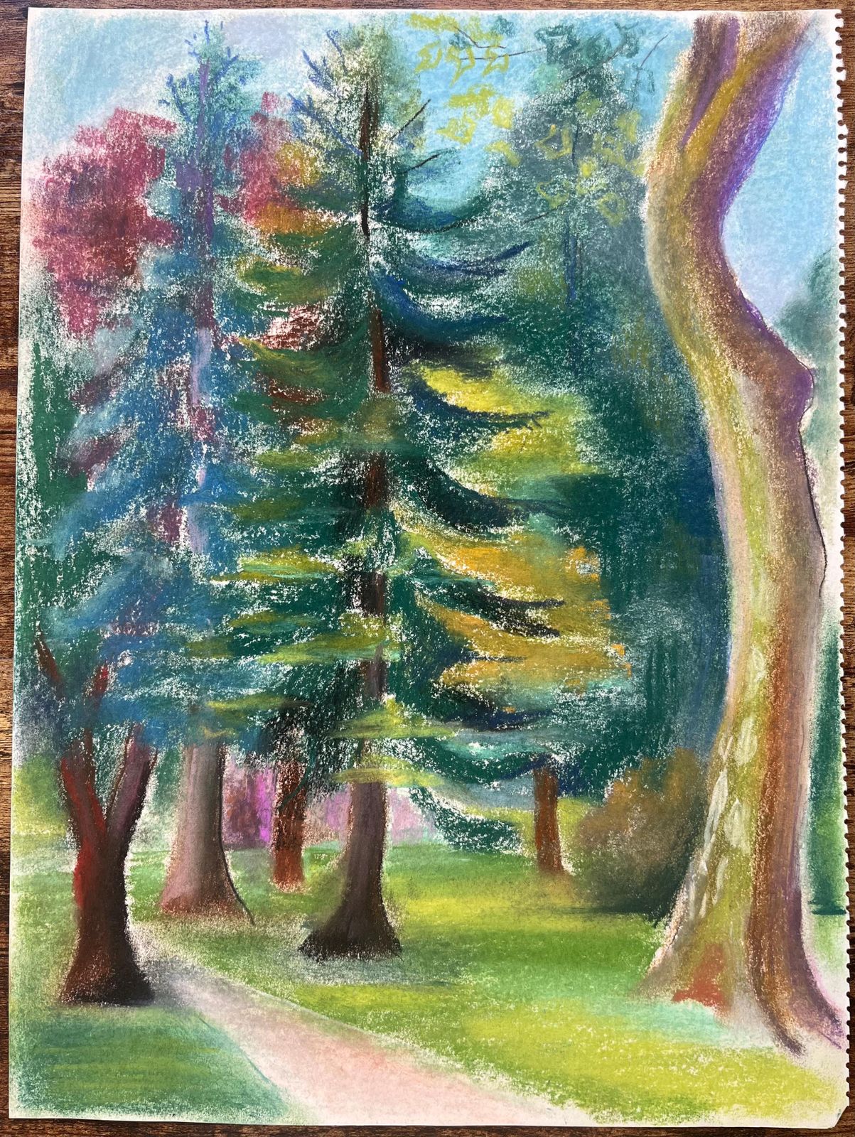 Anne Marie Migette Perardmid Century French Pastel Of Pine Trees In Dappled Forest Light photo furniture