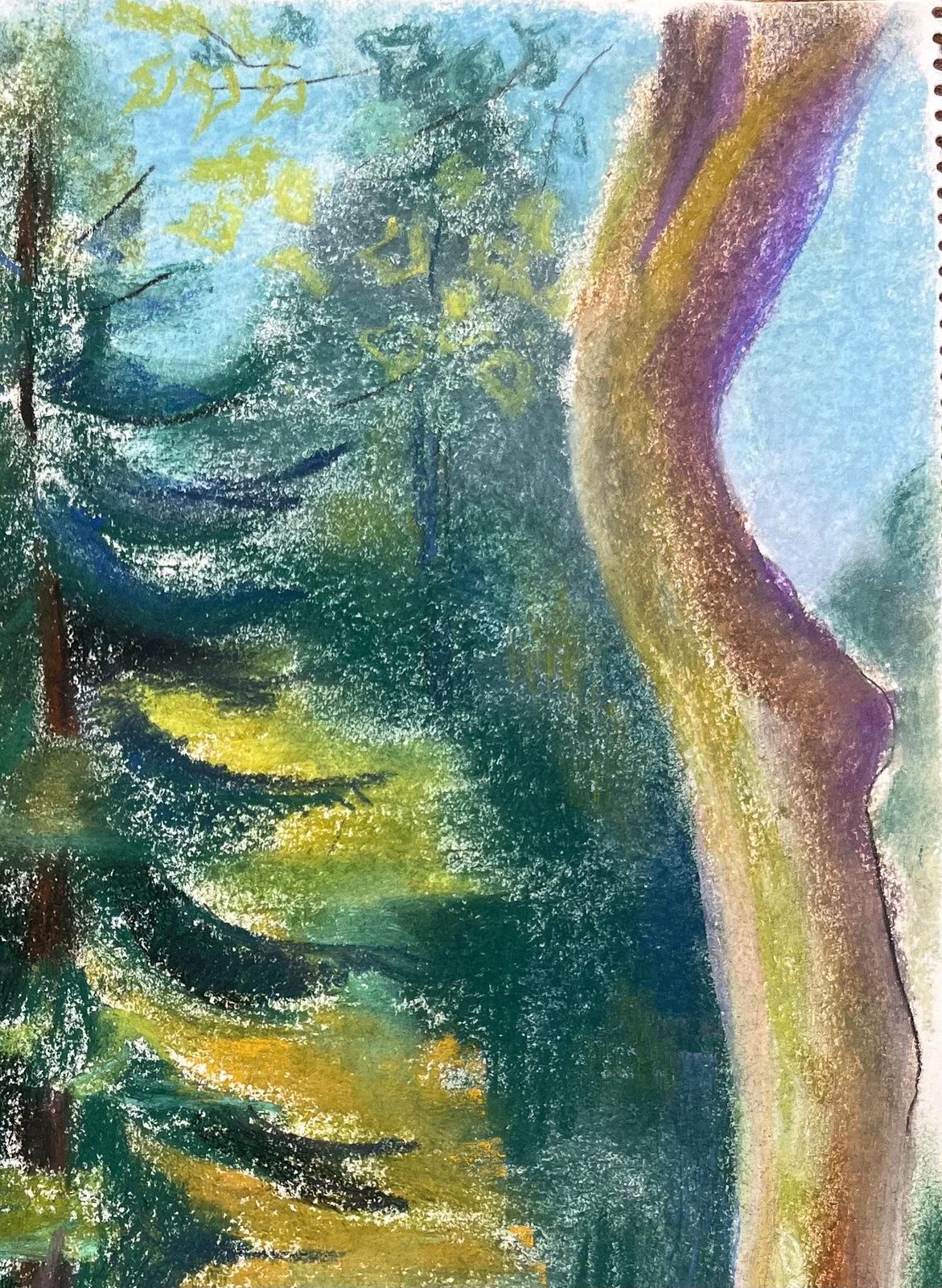 Anne Marie Migette Perardmid Century French Pastel Of Pine Trees In Dappled Forest Light photo Art