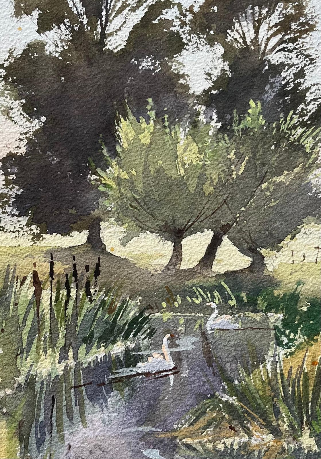 Anthony Averybritish Impressionist Watercolor Of A Idyllic Riverside Scene With Swans photo Art