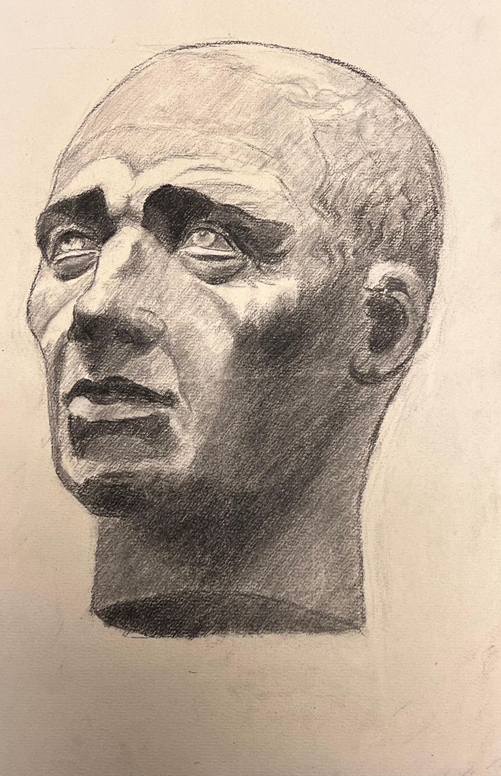 Josine Vignonmid Century French Drawing Of A Classical Bald Male Bust1945 photo for sale