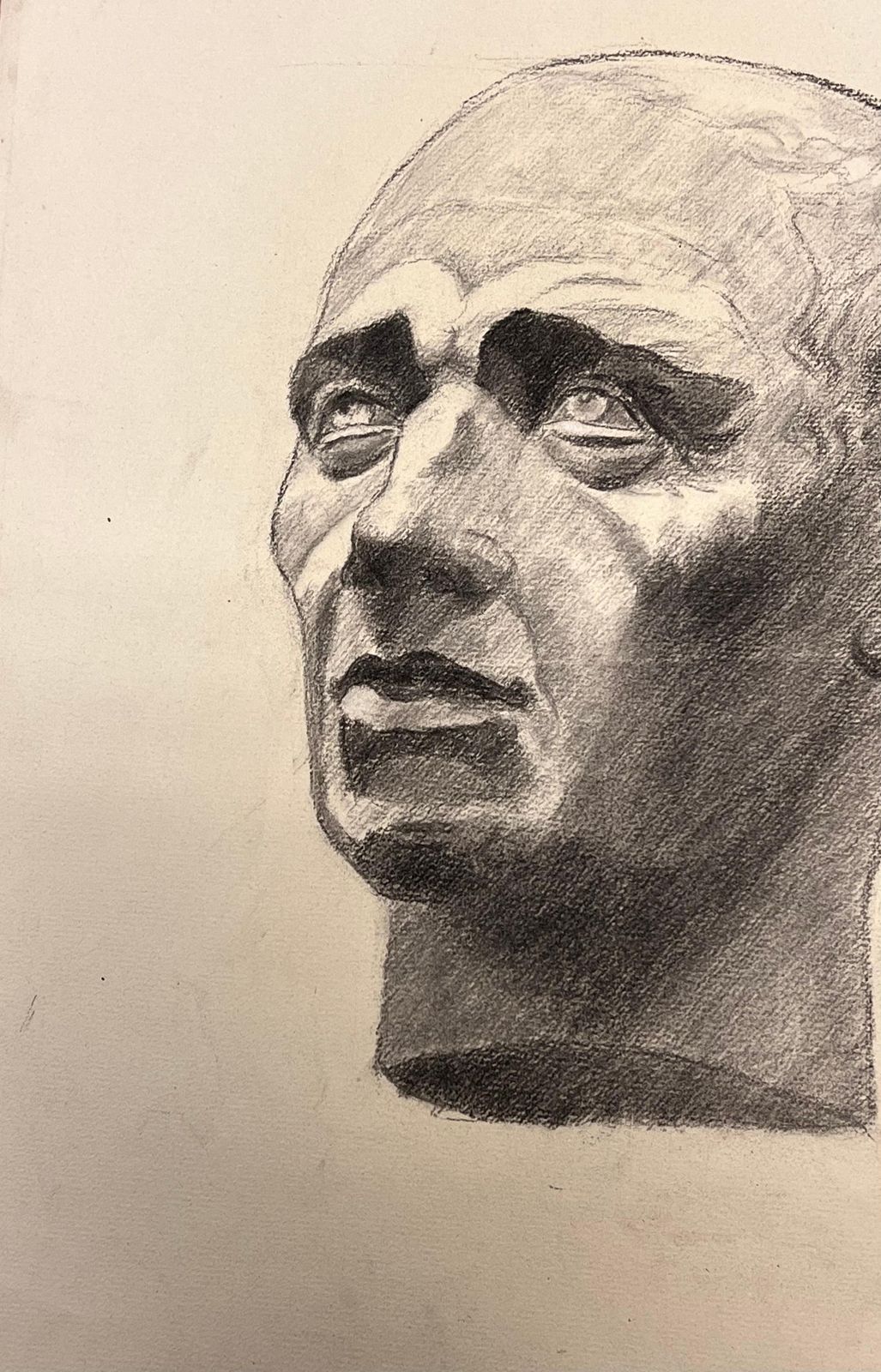 Josine Vignonmid Century French Drawing Of A Classical Bald Male Bust1945 photo Art