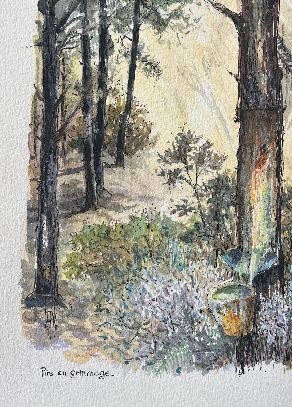 Robert Lepine (1929   2017)french Watercolor Painting Of “Pin En Gemmage” In Forested Dunes20th Century photo Art