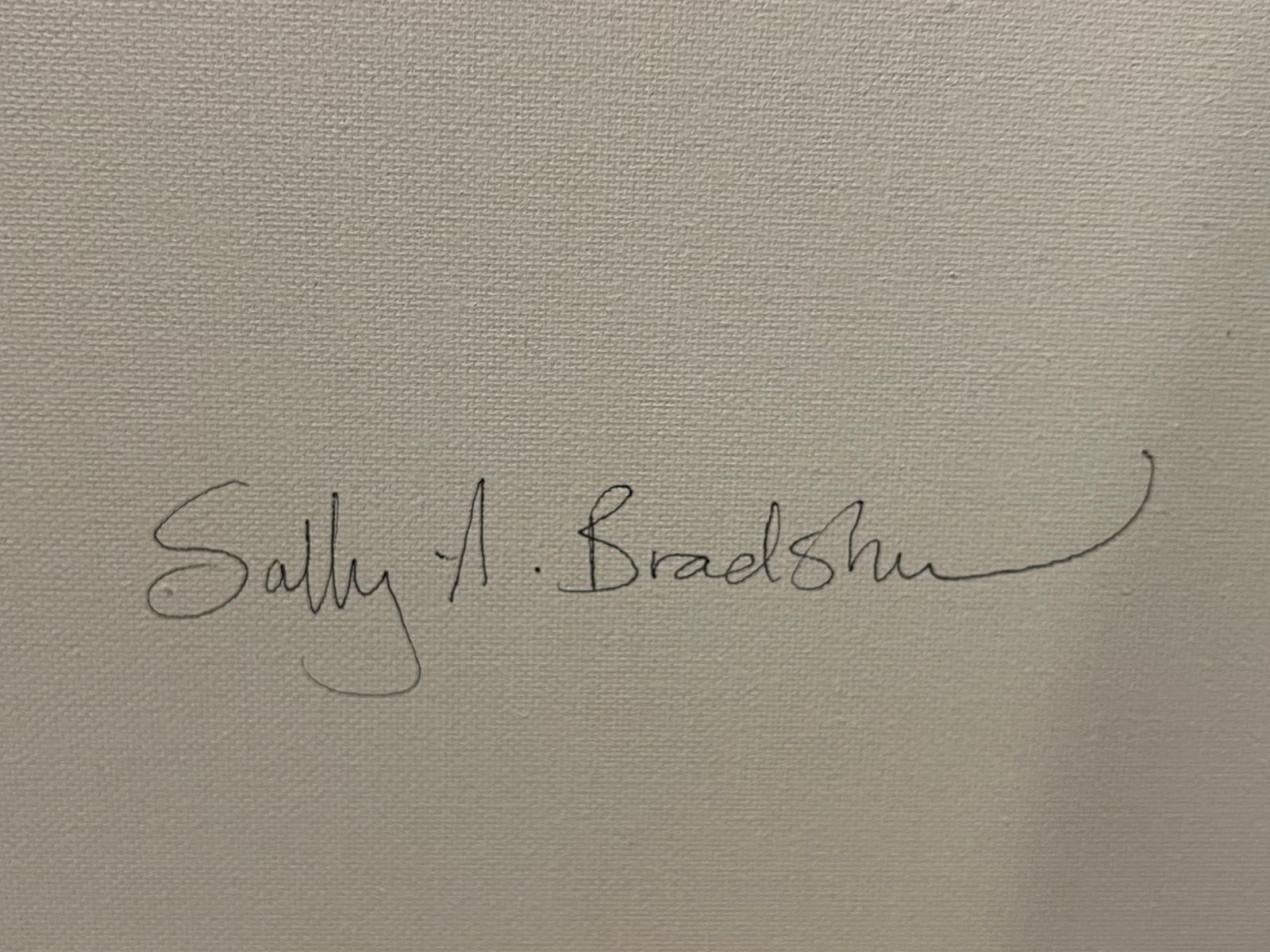 photo furniture Sally Bradshawbritish Abstract Painting Contemporary Bold Autumnal Colours Of Orange And Pinkc.2024
