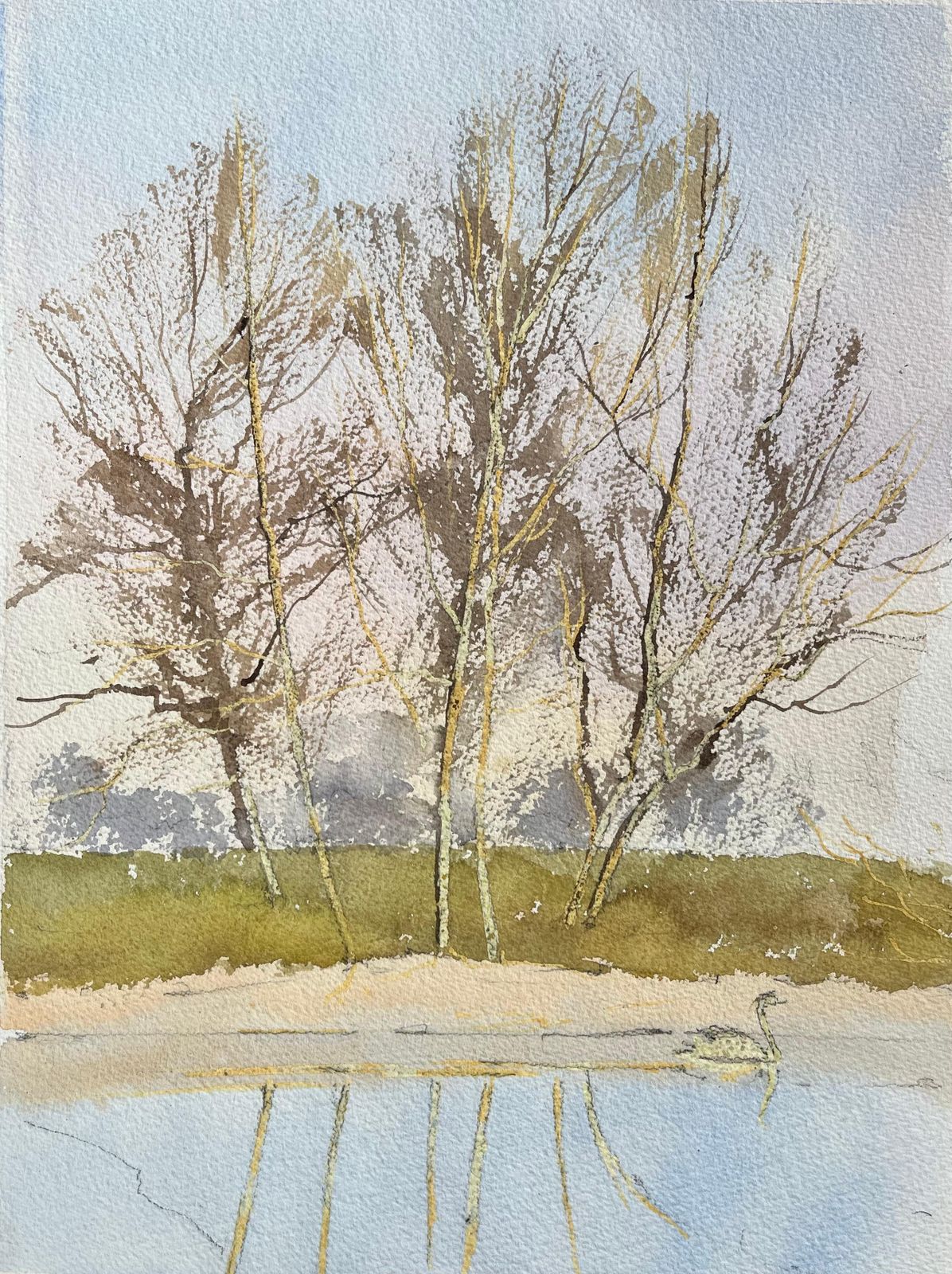 Anthony Averybritish Impressionist Watercolor Of Swan Gliding By The Riverside