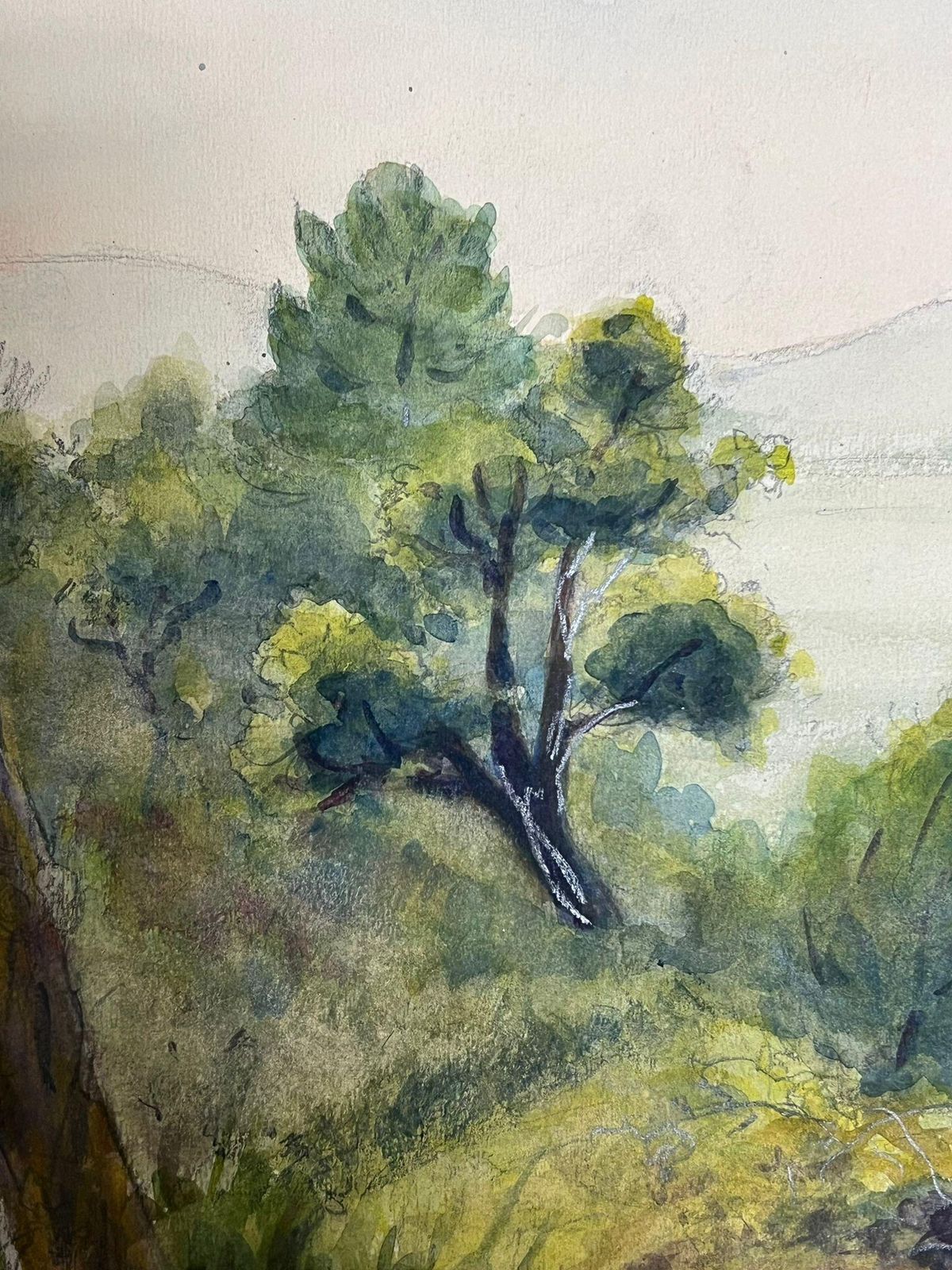 Regine Davidlandscape With A Dense Grove Of Evergreen Trees Overlooking Misty Hills1938 photo Art