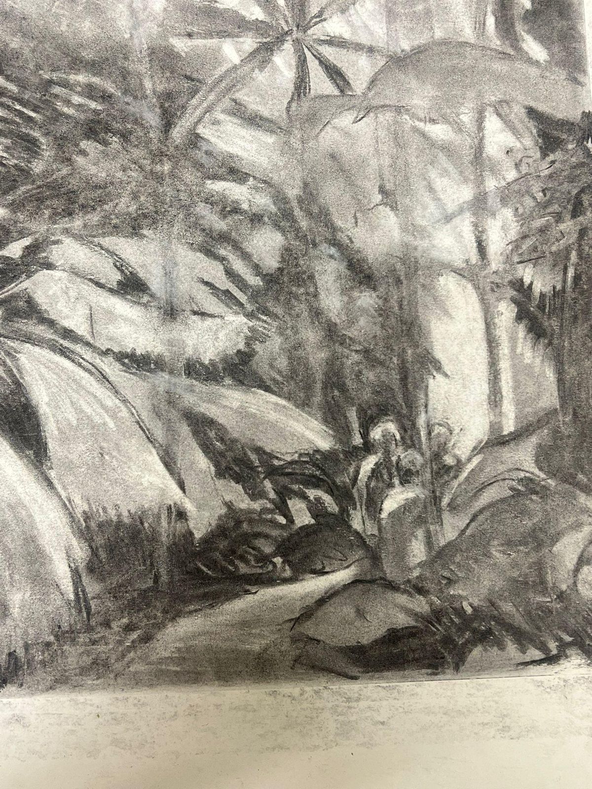 French Schoolmonochromatic Jungle Scene In Charcoal Mystery Of Tropical Wildernessmid 20th Century photo for sale