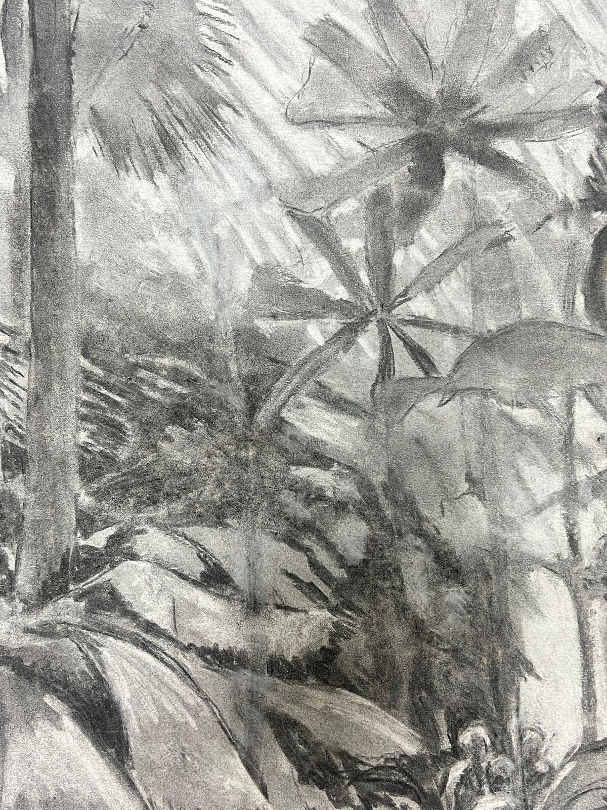 French Schoolmonochromatic Jungle Scene In Charcoal Mystery Of Tropical Wildernessmid 20th Century photo vinterior