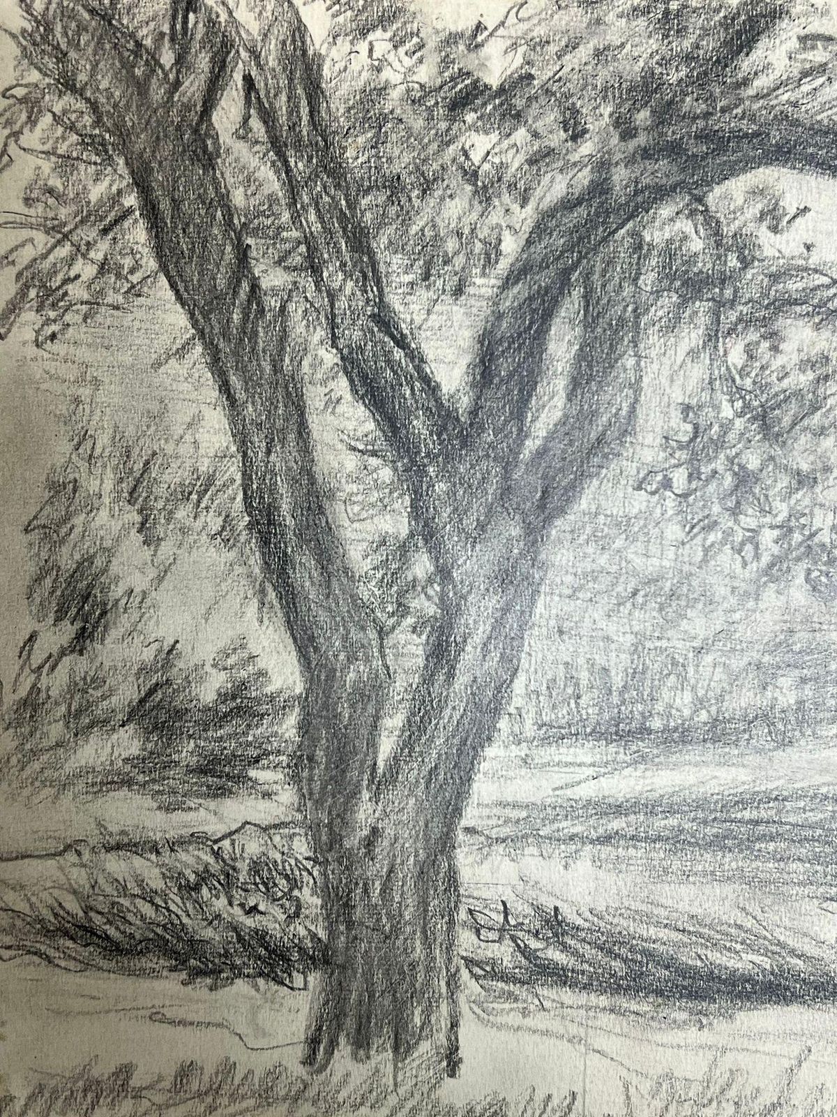 Regine Davidstudy Of A Tree In A Peaceful Meadow With Branches Stretching Out Landscape1957 photo 225.0