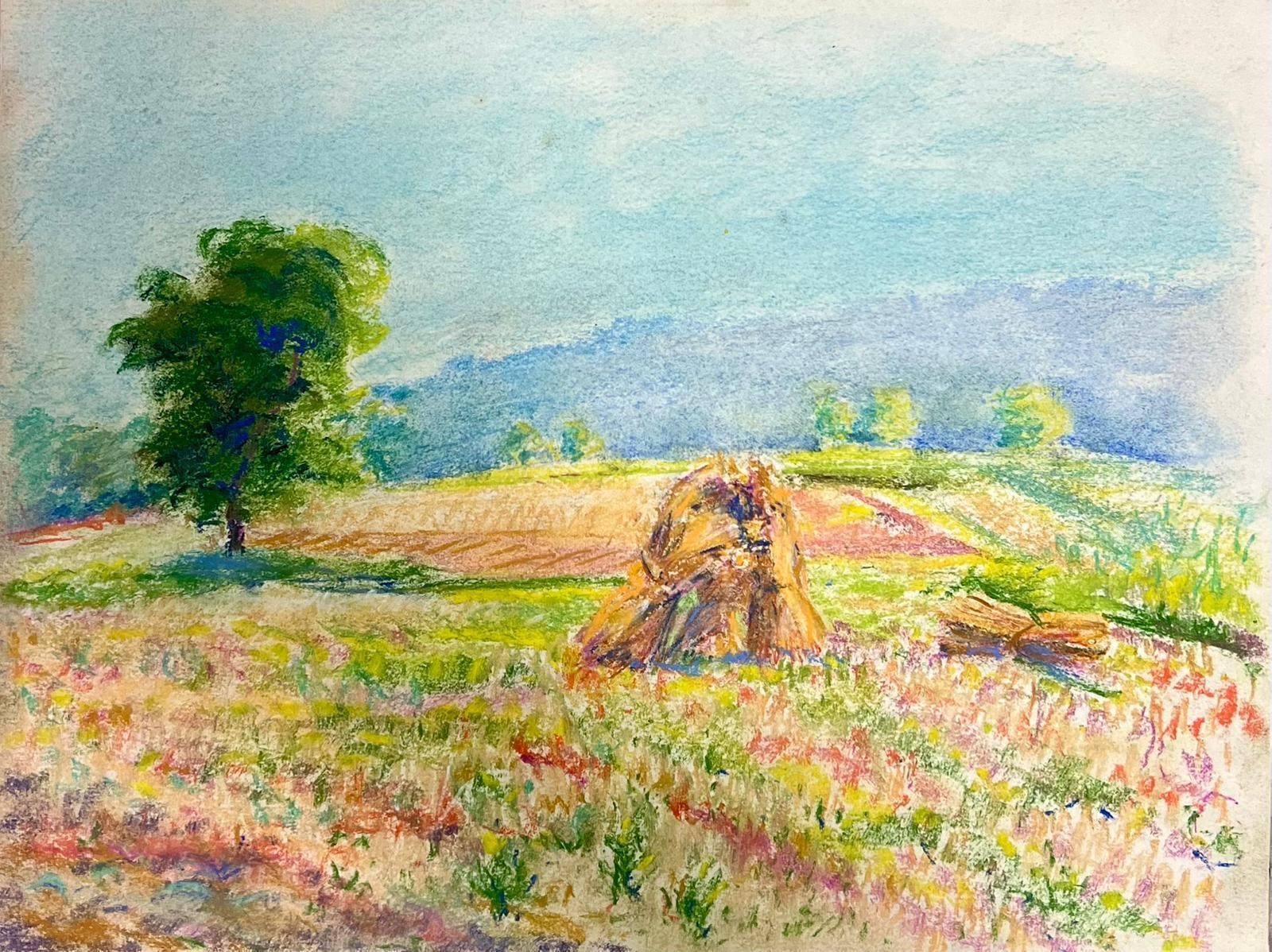 Regine Davidvibrant Pastoral Scene With Haystack And Blooming Meadow Colorful Pastel1947
