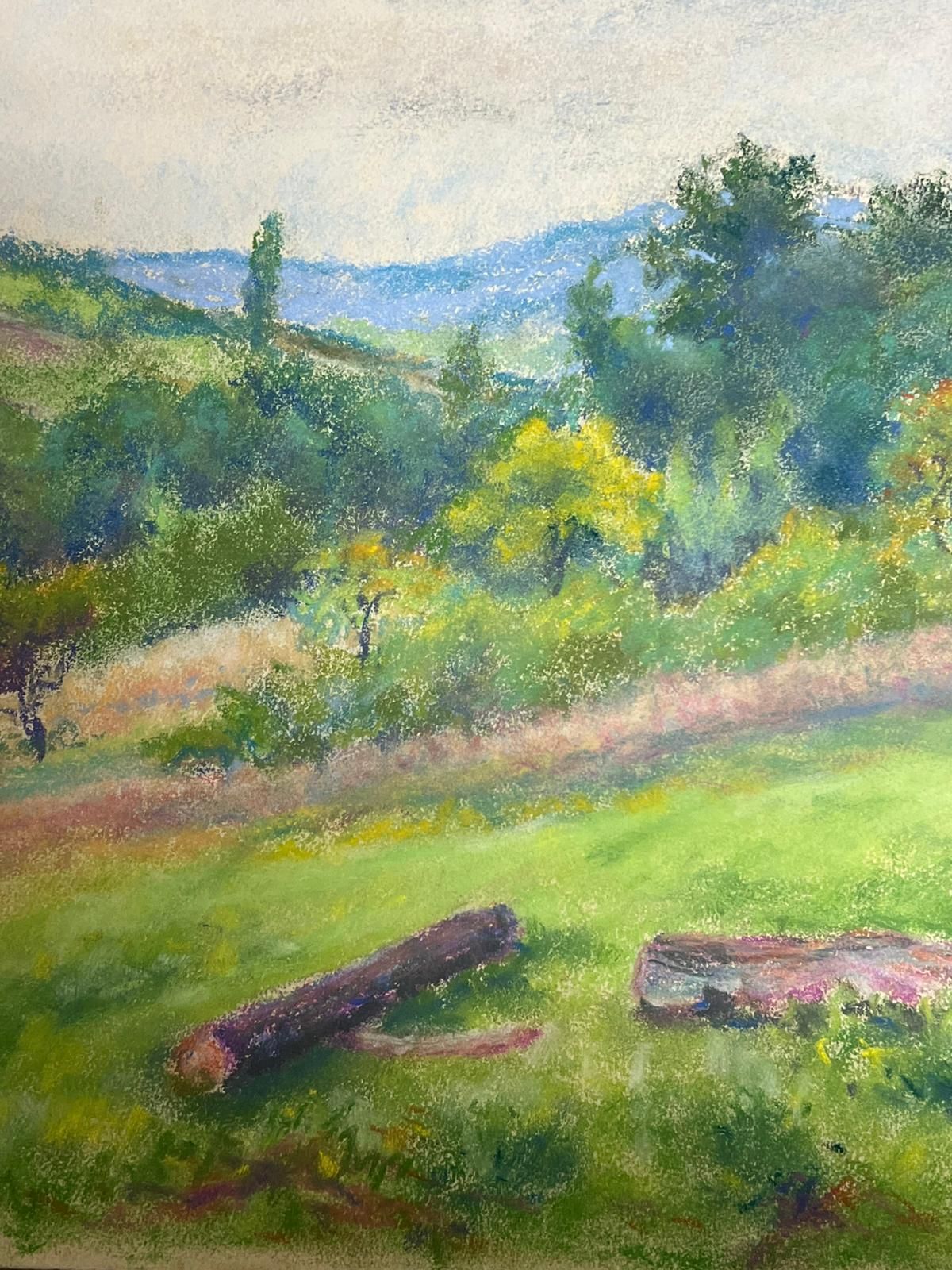 Regine Davidvintage Landscape With Rolling Hills Countryside With Vibrant Green Meadow1954 photo for sale