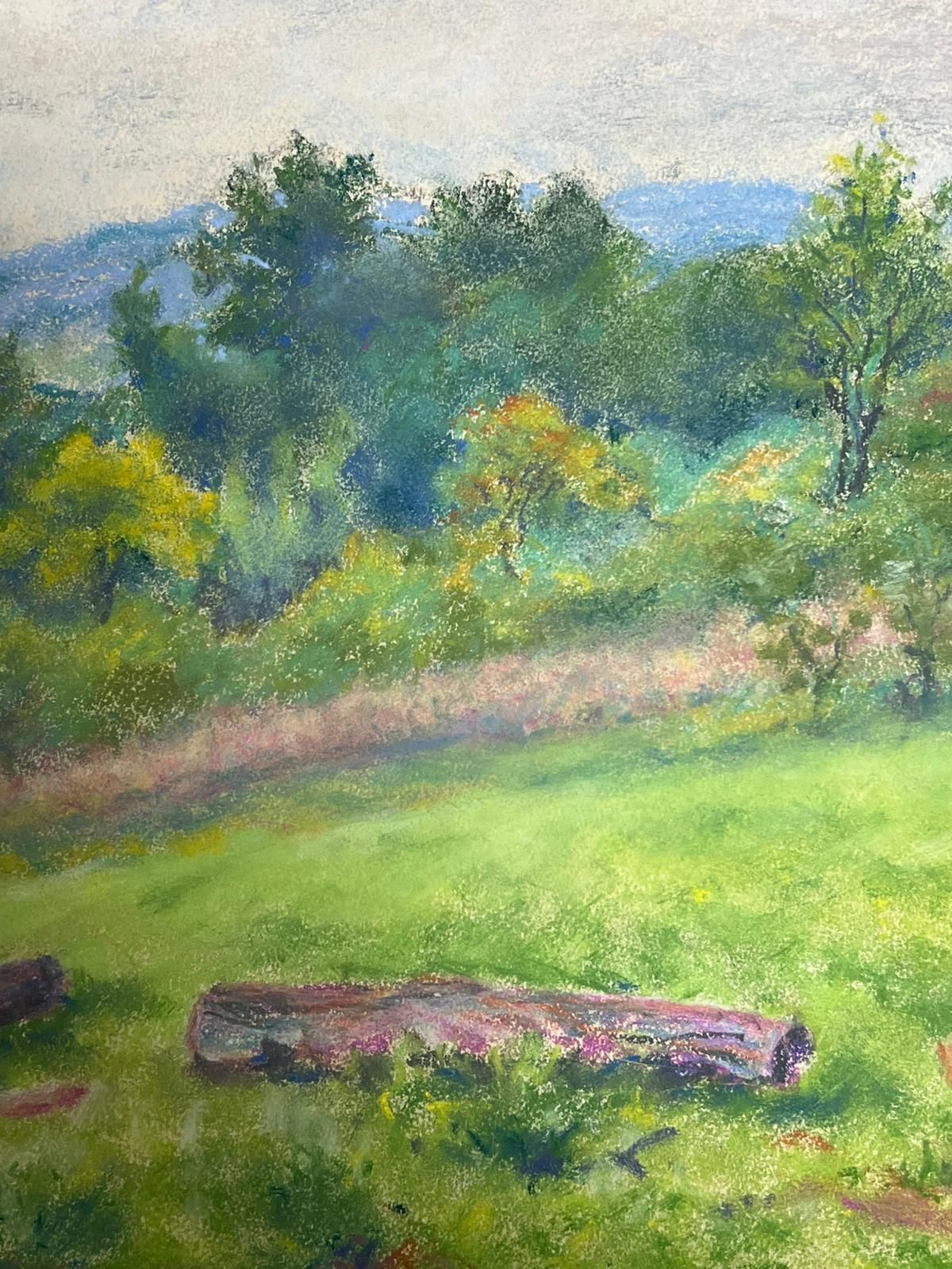 Regine Davidvintage Landscape With Rolling Hills Countryside With Vibrant Green Meadow1954 photo Art