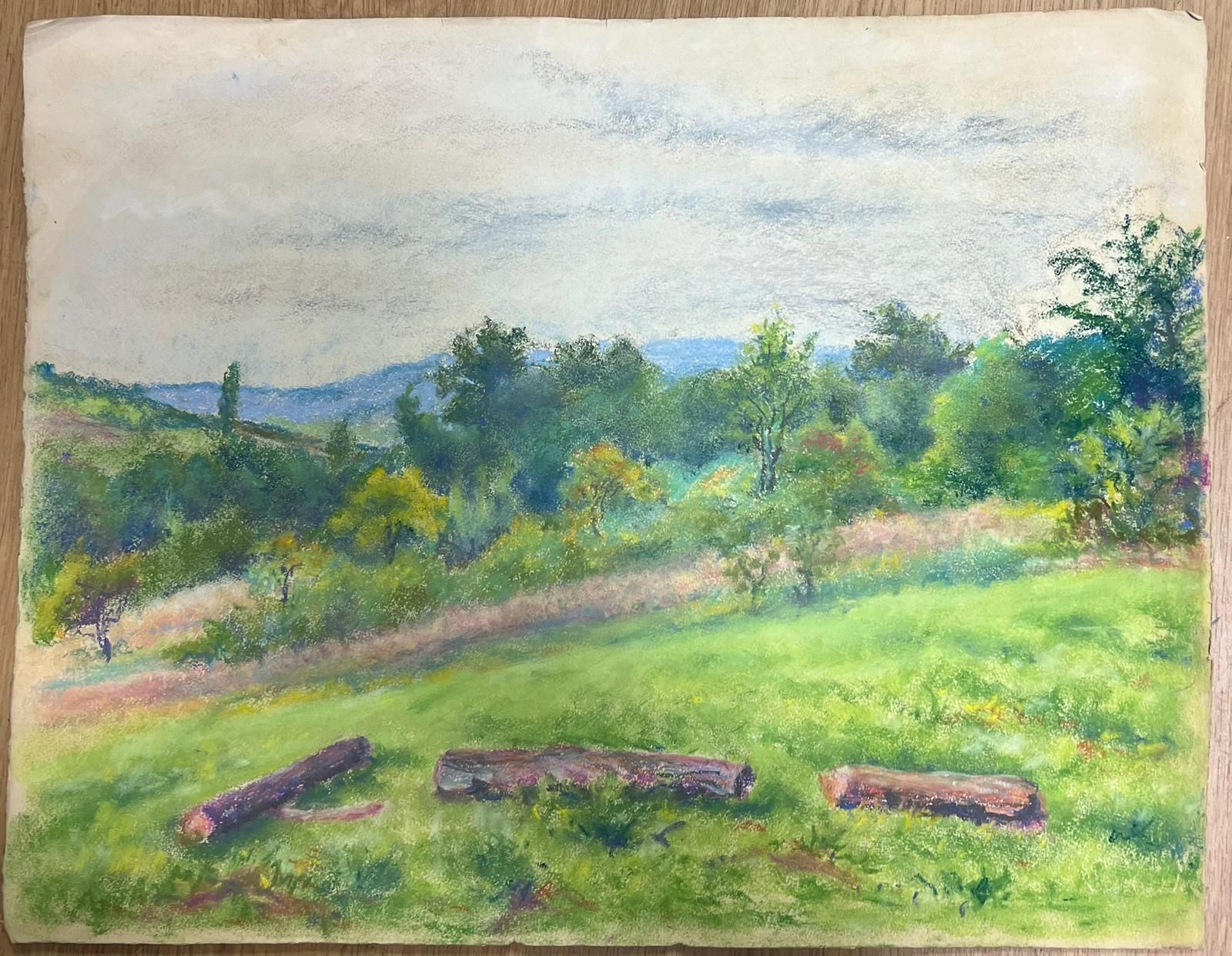 Regine Davidvintage Landscape With Rolling Hills Countryside With Vibrant Green Meadow1954 photo vinterior