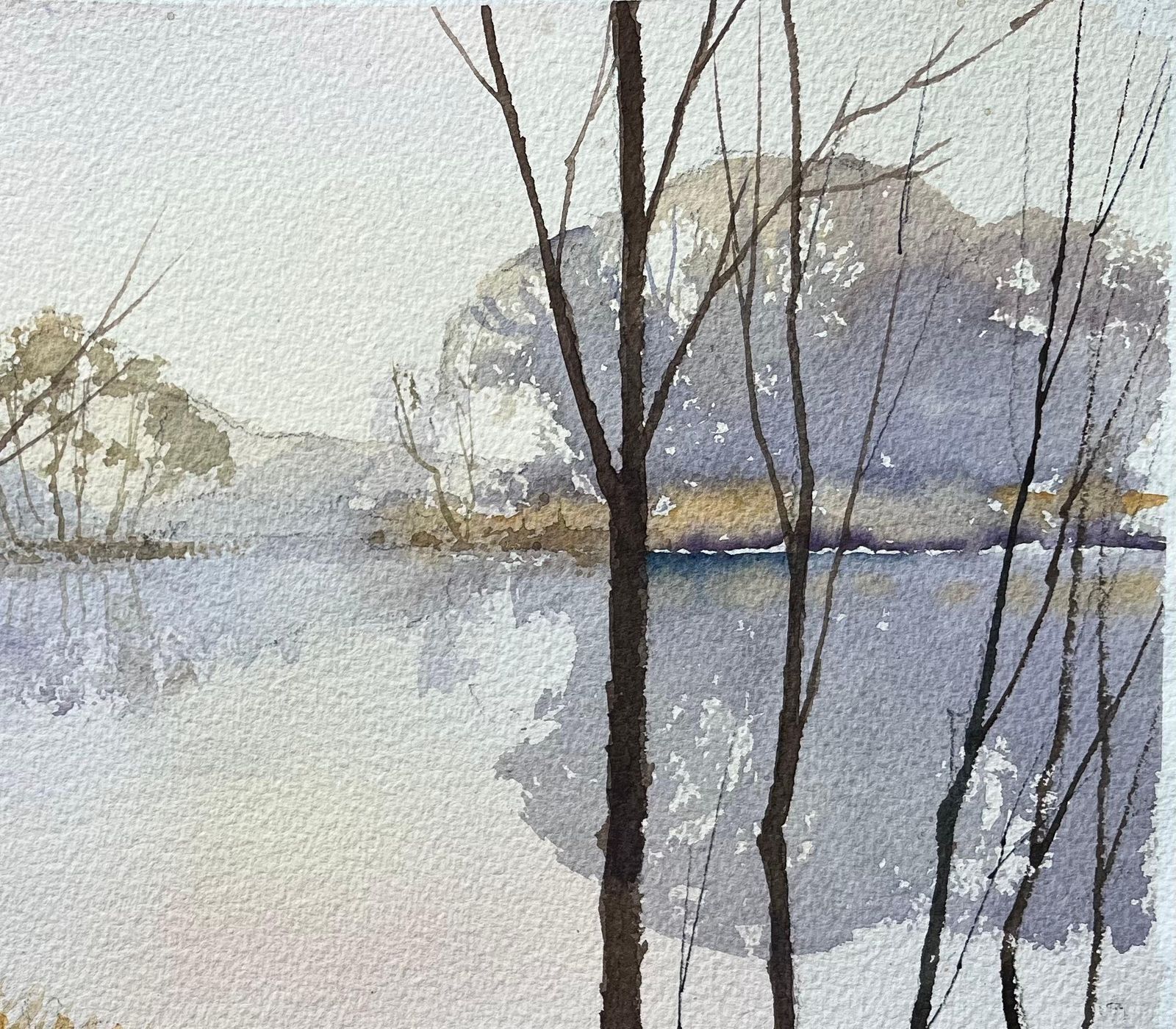 Anthony Avery British Impressionist Watercolor Of Sunlit Trees By A Tranquil Lake photo Art