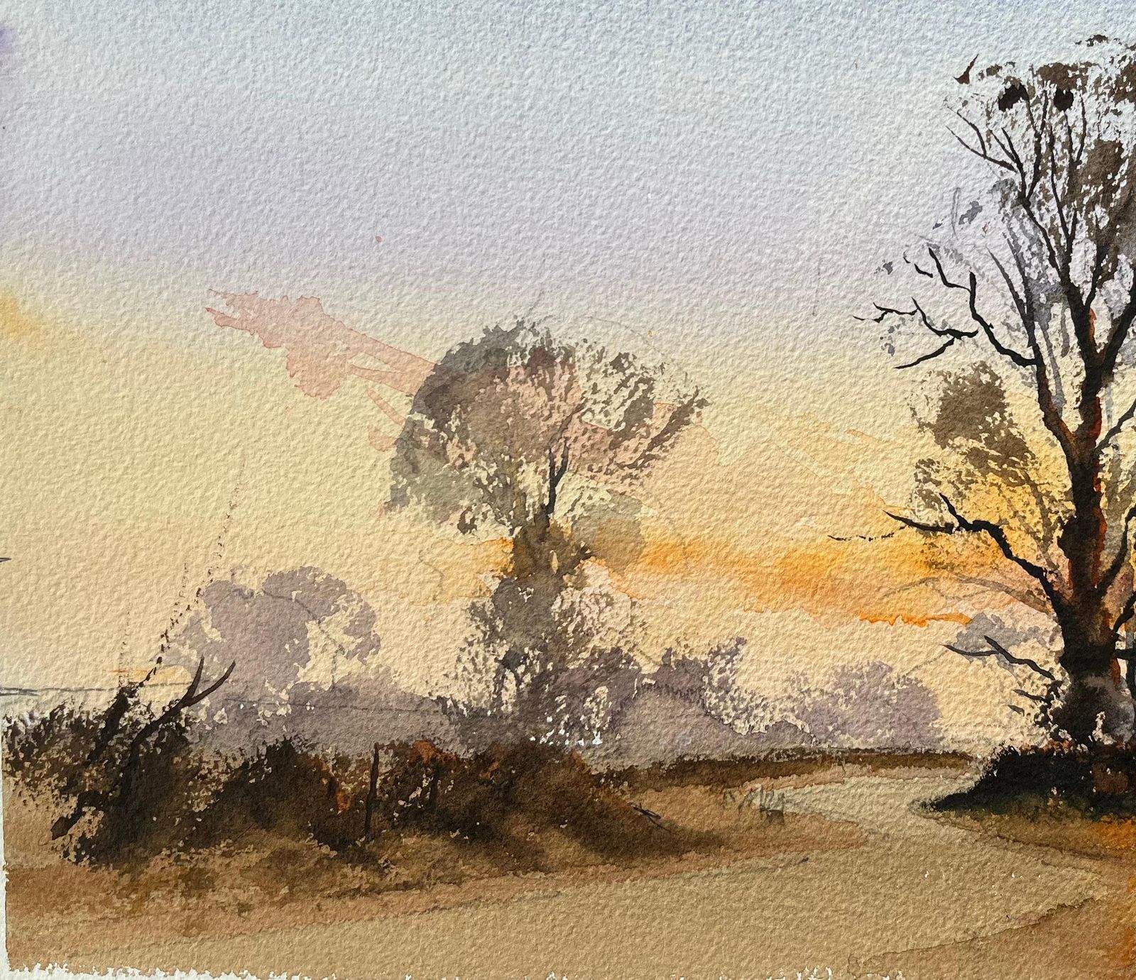 Anthony Avery British Watercolor Landscape With Tree Silhouettes At Sunset photo 495.0