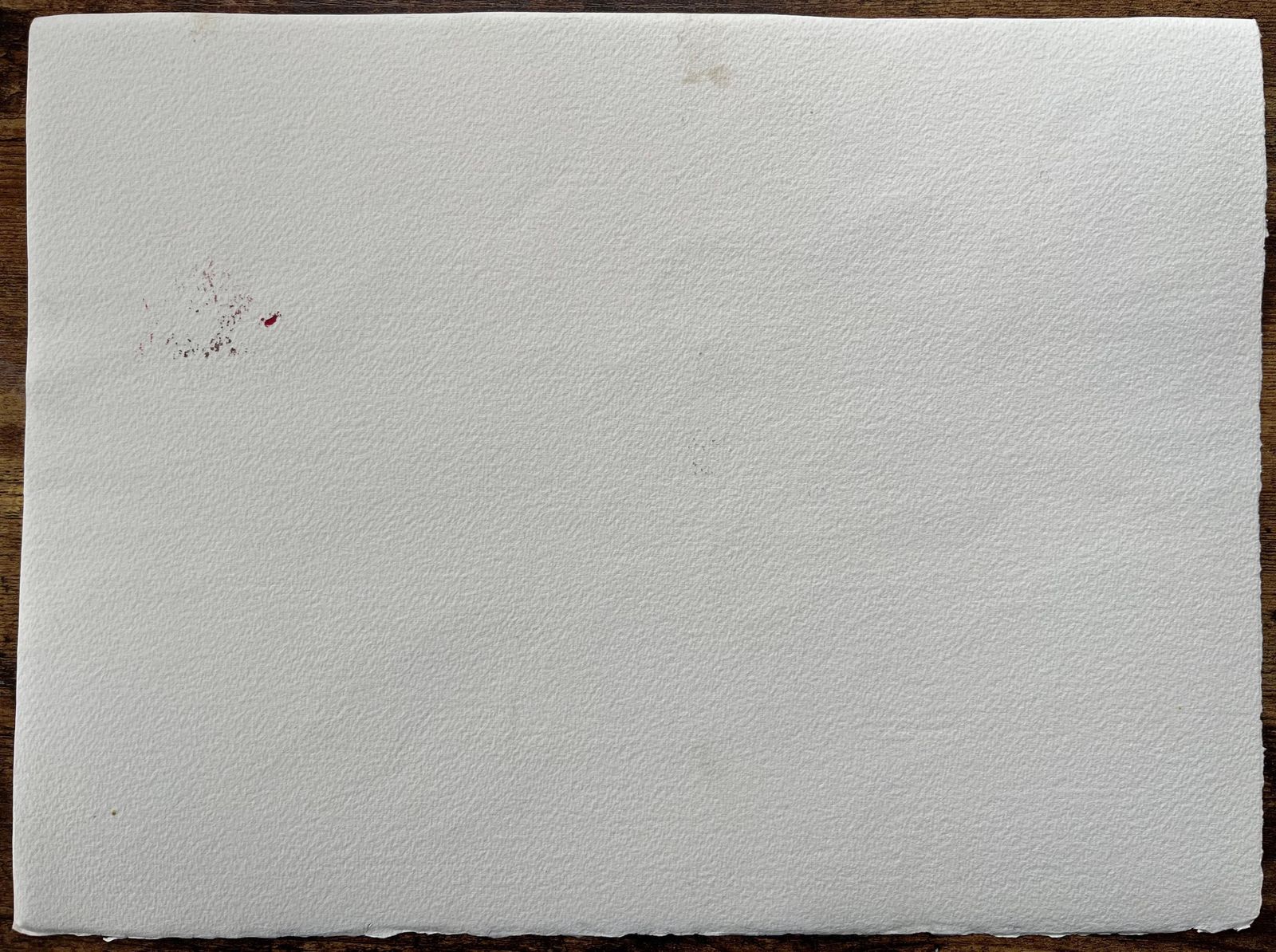 Anthony Avery British Original Watercolor Of Pink Blossoms With Bee photo buy