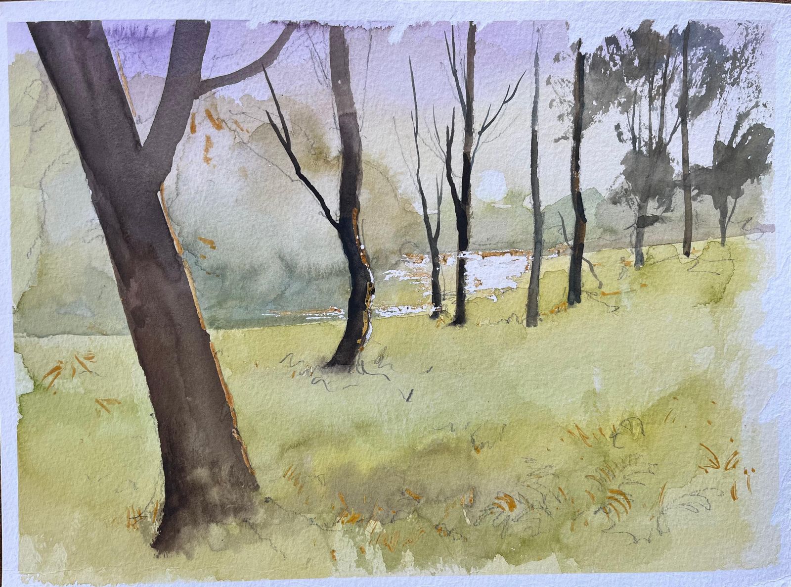 Anthony Avery British Watercolor Woodland Landscape With Bare Trees And Sunlit Clearing