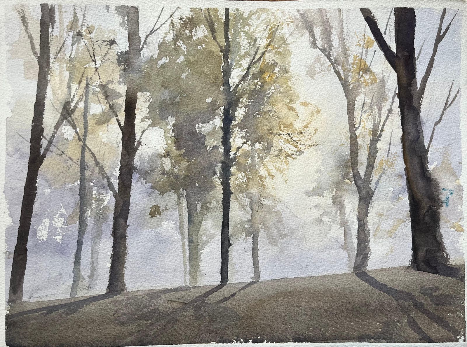 Anthony Avery British Impressionist Watercolor Of A Misty Woodland Scene With Shadows