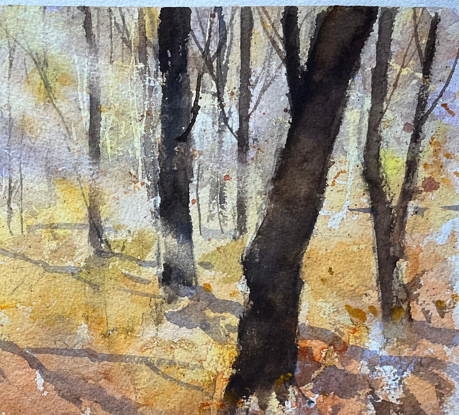 Anthony Avery British Impressionist Watercolor Of A Serene Autumn Woodland Scene photo Art