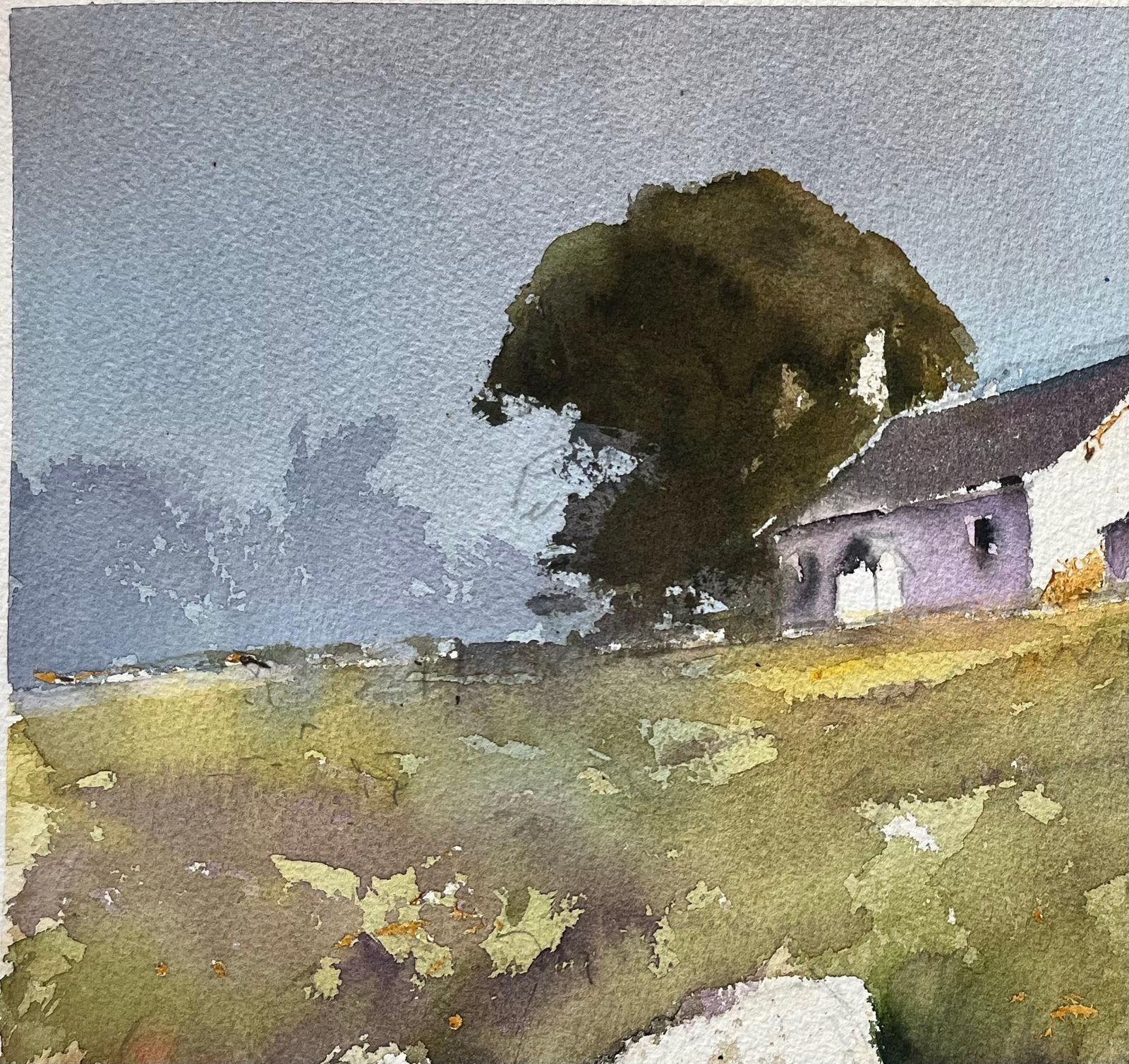Anthony Avery British Impressionist Watercolor Of A Hilltop House And Outhouse With Wildflower photo buy