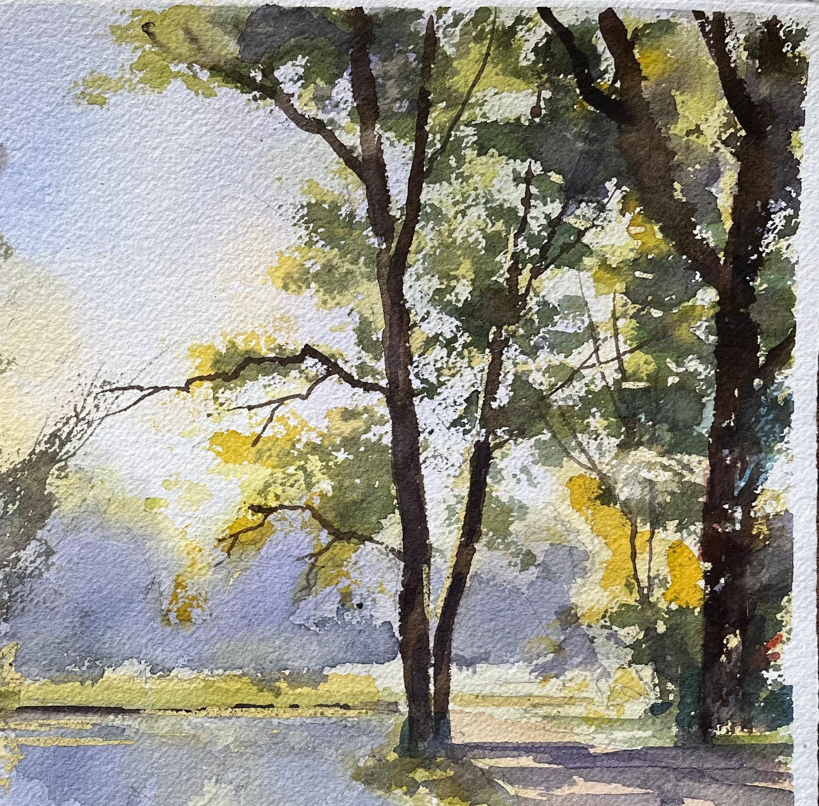 Anthony Avery British Watercolor Of A Tranquil Riverside Path With Trees And Reflections photo Art