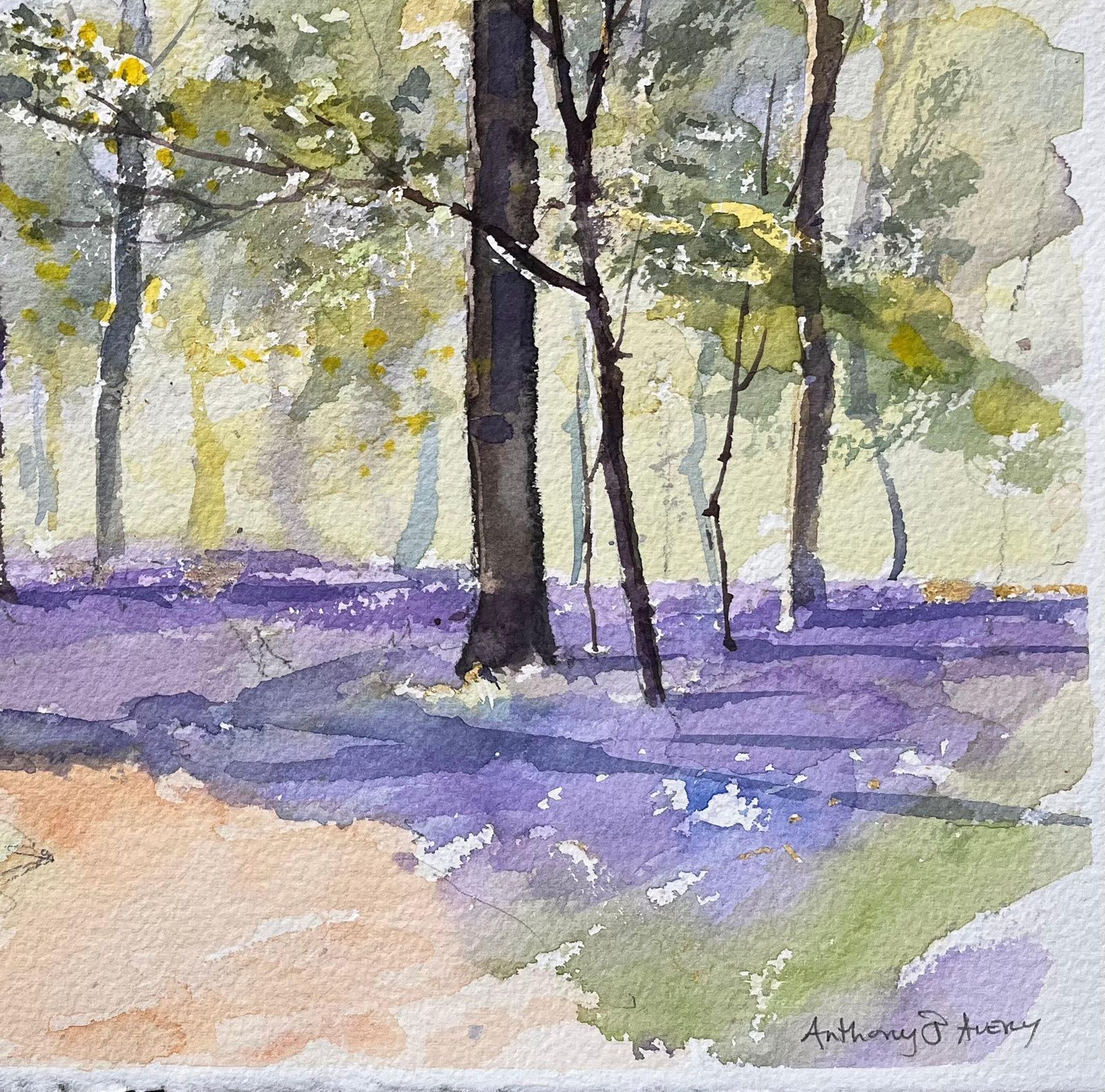 Anthony Avery British Impressionist Watercolor Of A Sunlit Woodland Scene With Bluebells photo for sale