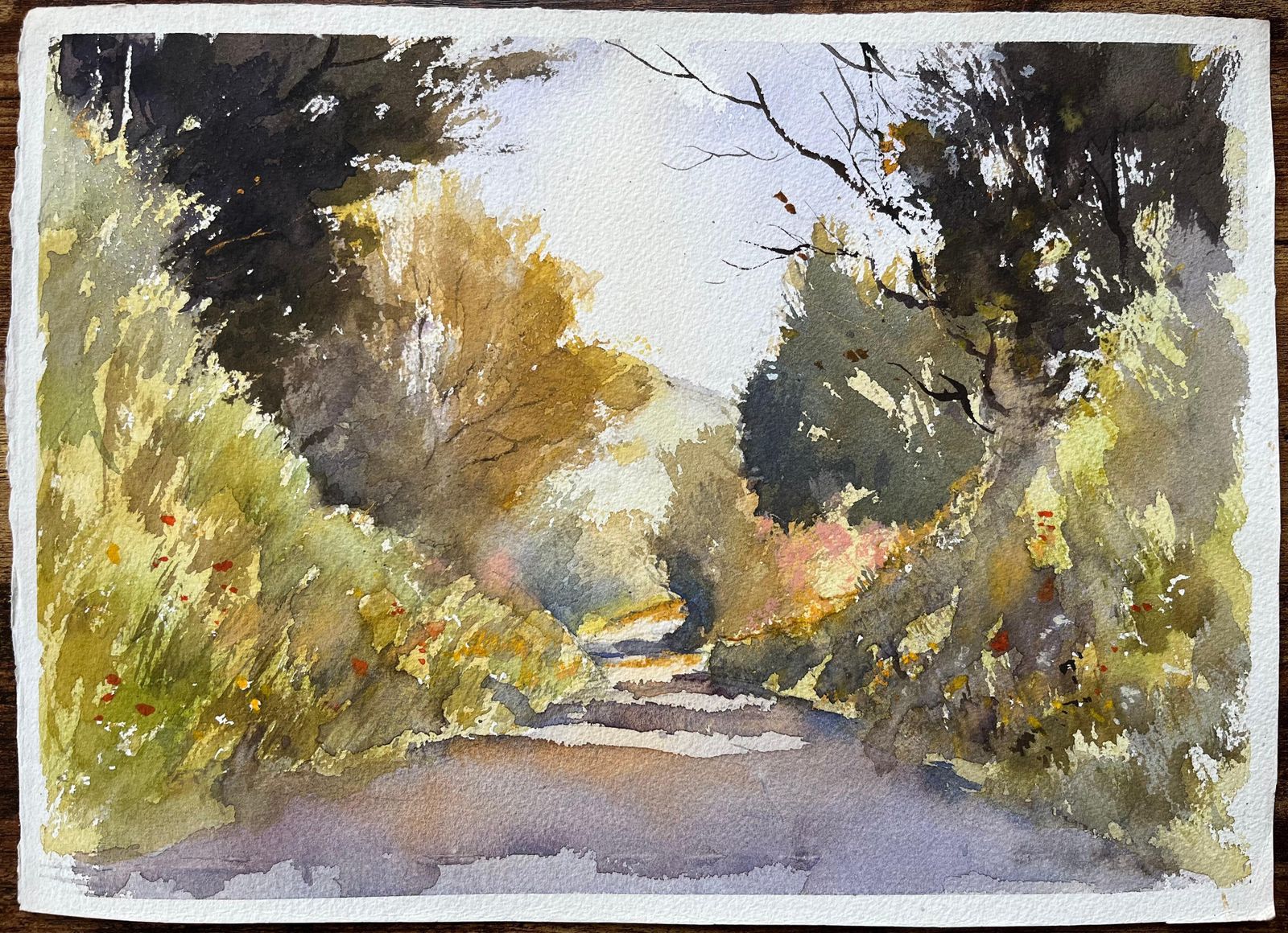 British Impressionist Watercolor Of Sunlit Country Lane photo furniture