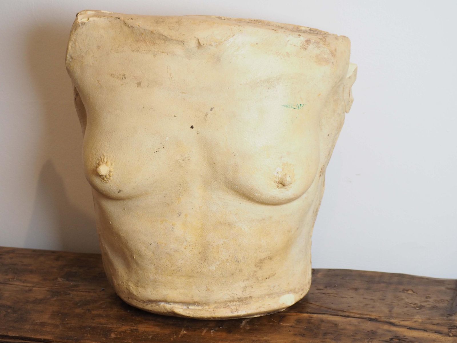 Vintage Cast Of Female Torso By Christopher Tucker Film Maker / Film Props / Sculpture photo for sale