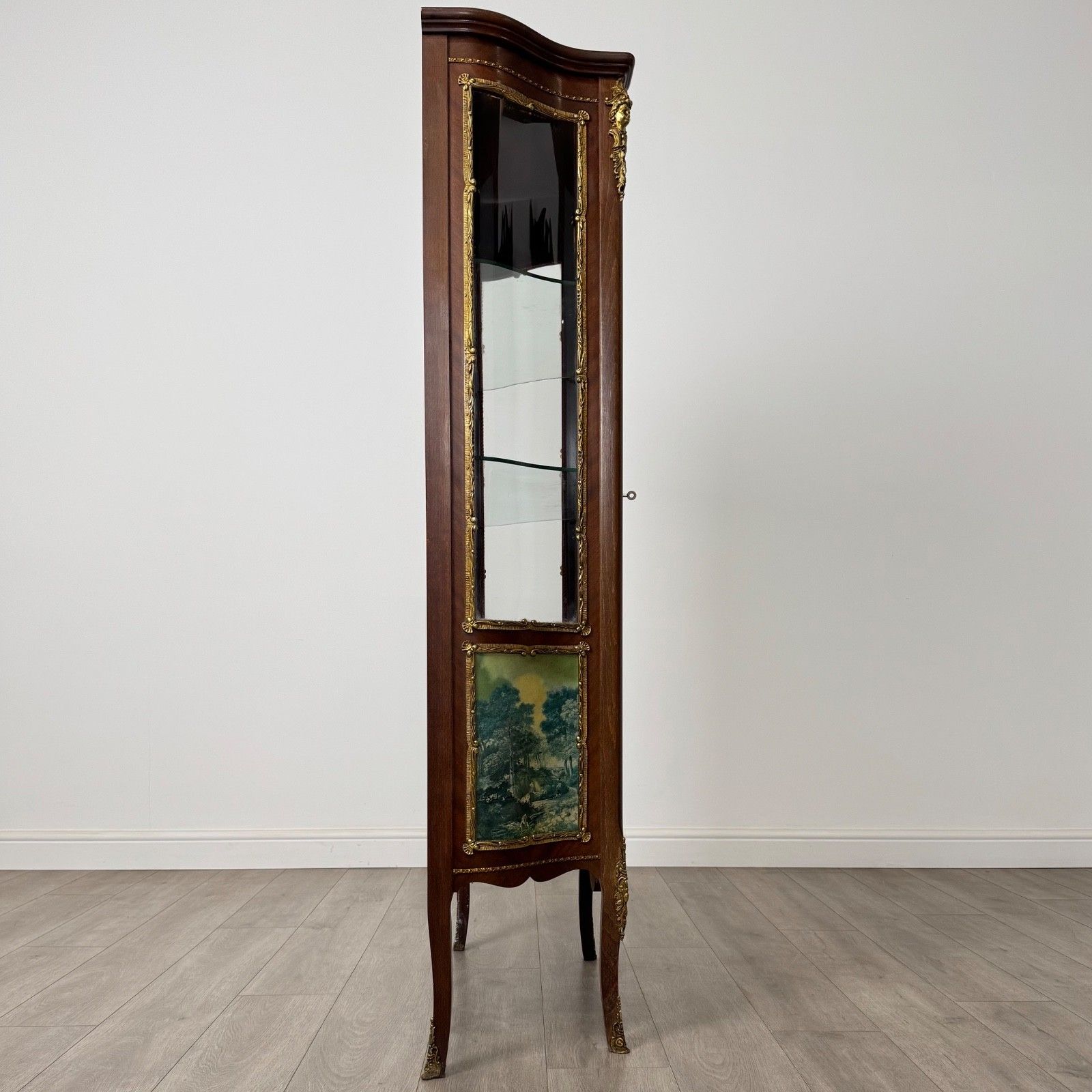 Antique 20th Century Painted French Display Cabinet In Mahogany ( Af 4953 ) photo vintage