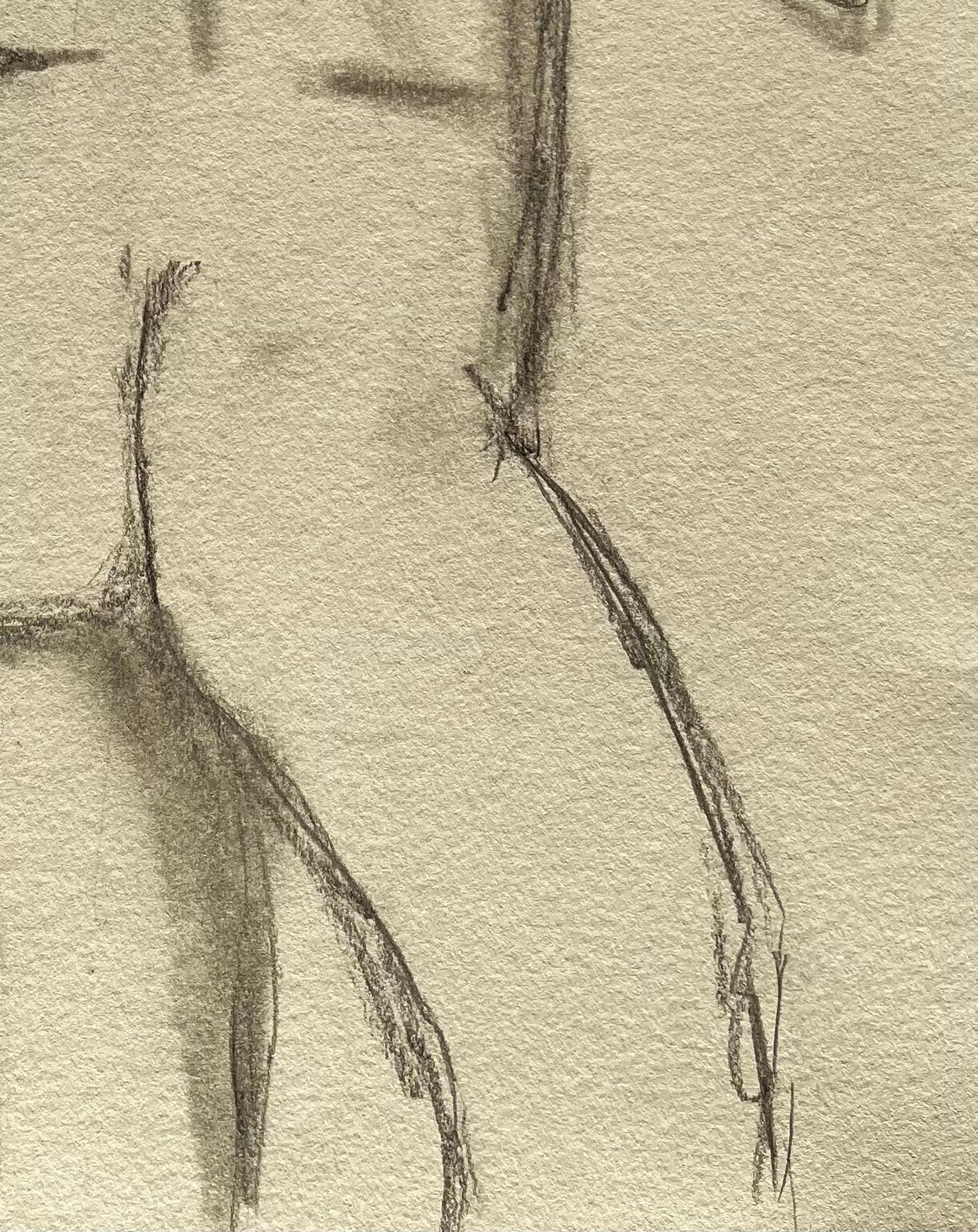 Minty Ramsey Back View Nude Female Figure Sketch Expressive Contemporary Pencil Life Drawing 2025 photo Art