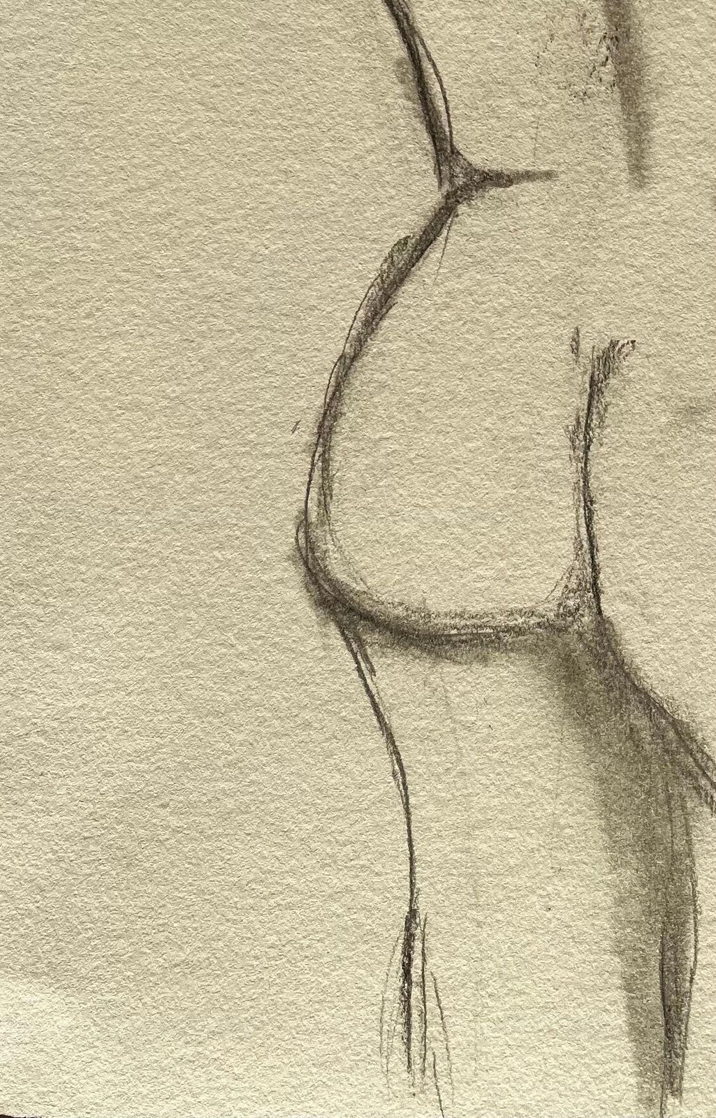 Minty Ramsey Back View Nude Female Figure Sketch Expressive Contemporary Pencil Life Drawing 2025 photo 200.0