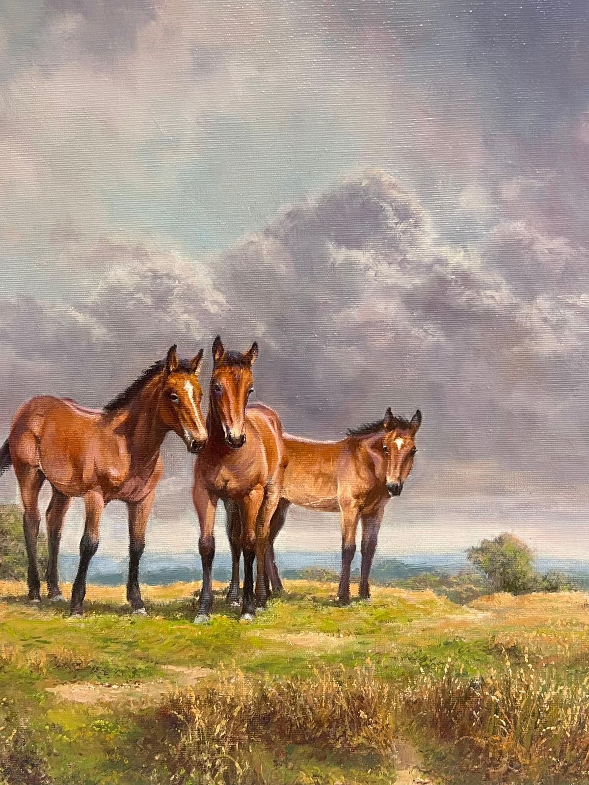 photo furniture Frank Wright Ponies On Dartmoor Vintage 20th Century English Signed Oil Painting