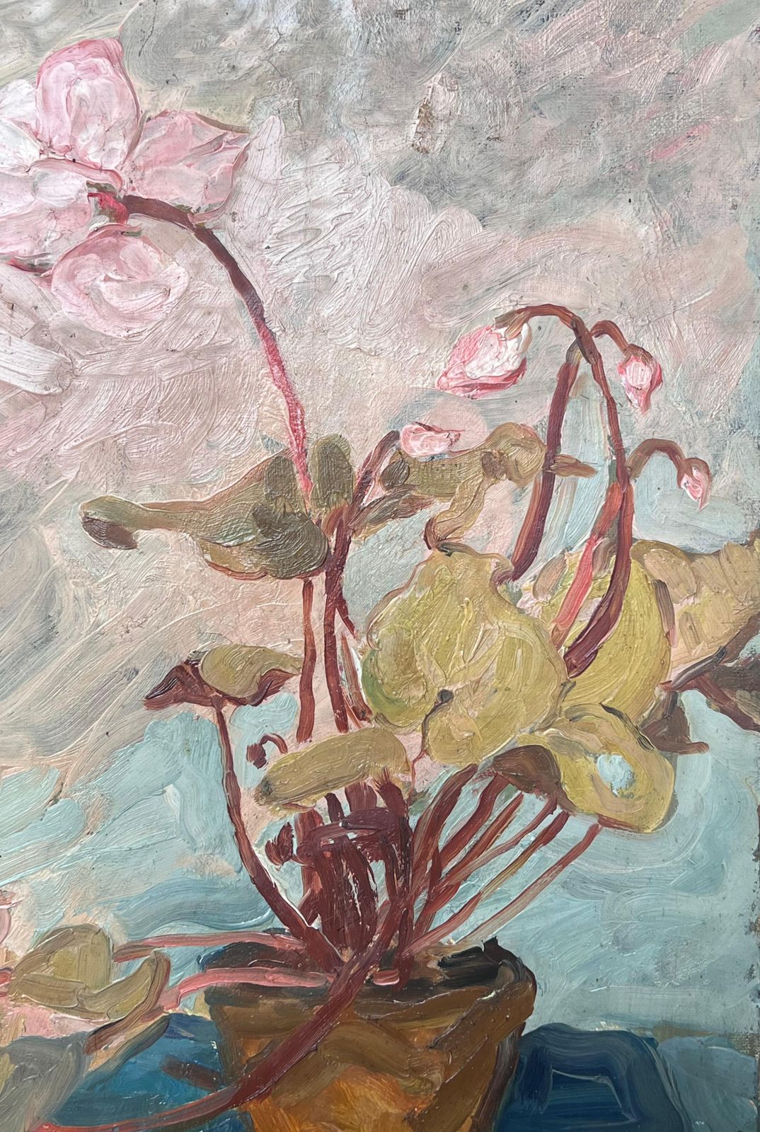 Suzanne Dinkes Cyclamen In Orange Pot In Blue Interior French Mid Century Painting 1950's photo vinterior