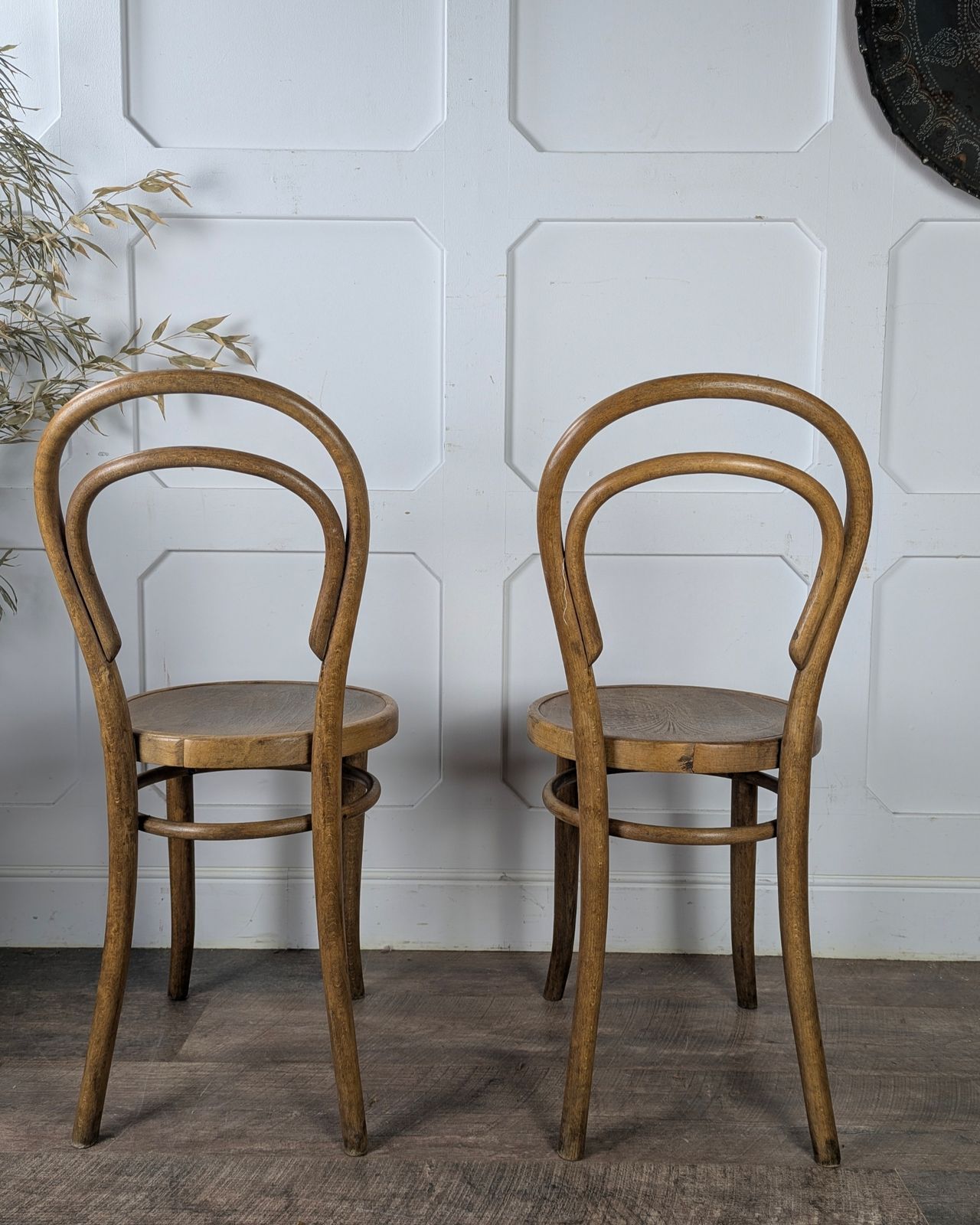 Pair Of Early 20th Century Thonet Bentwood Chairs photo 294.0