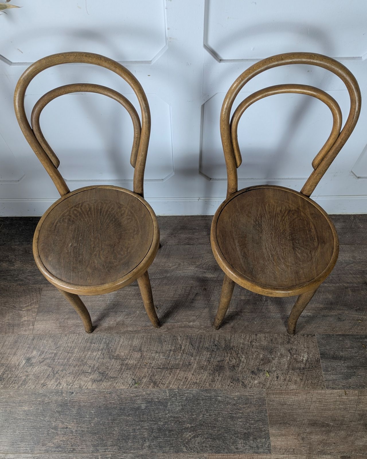 Pair Of Early 20th Century Thonet Bentwood Chairs photo buy