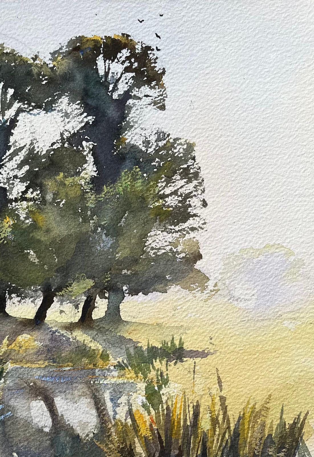 Anthony Avery British Original Watercolor Of A Marshland With Trees, Reflections, And Swans photo 470.0