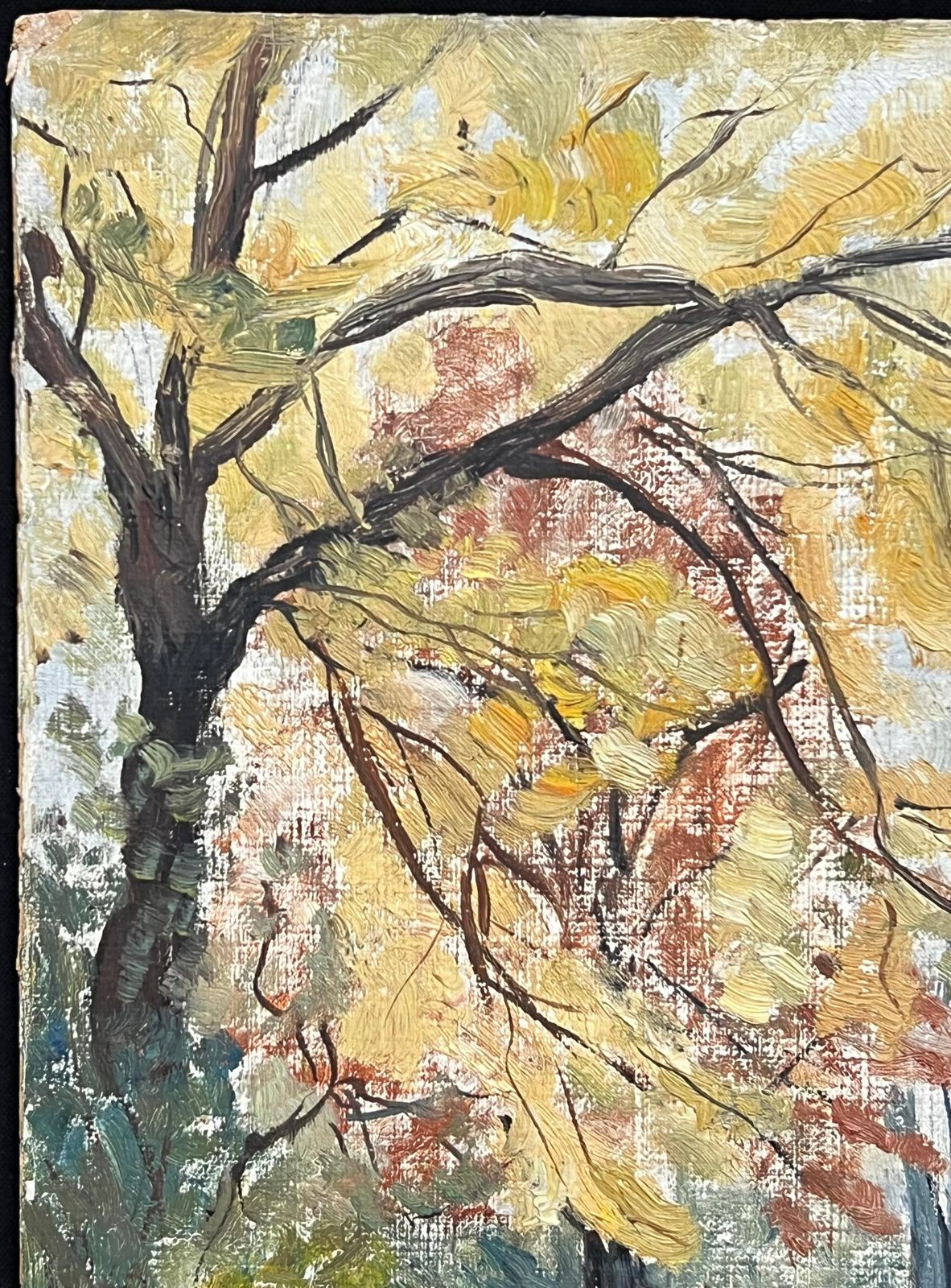 Simone Forge 1930's French Impressionist Vibrant Autumn Landscape With Golden And Red Foliage 19th Century photo Art