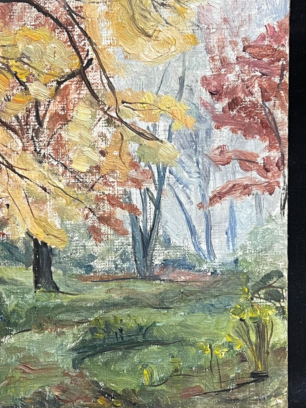 Simone Forge 1930's French Impressionist Vibrant Autumn Landscape With Golden And Red Foliage 19th Century photo 350.0